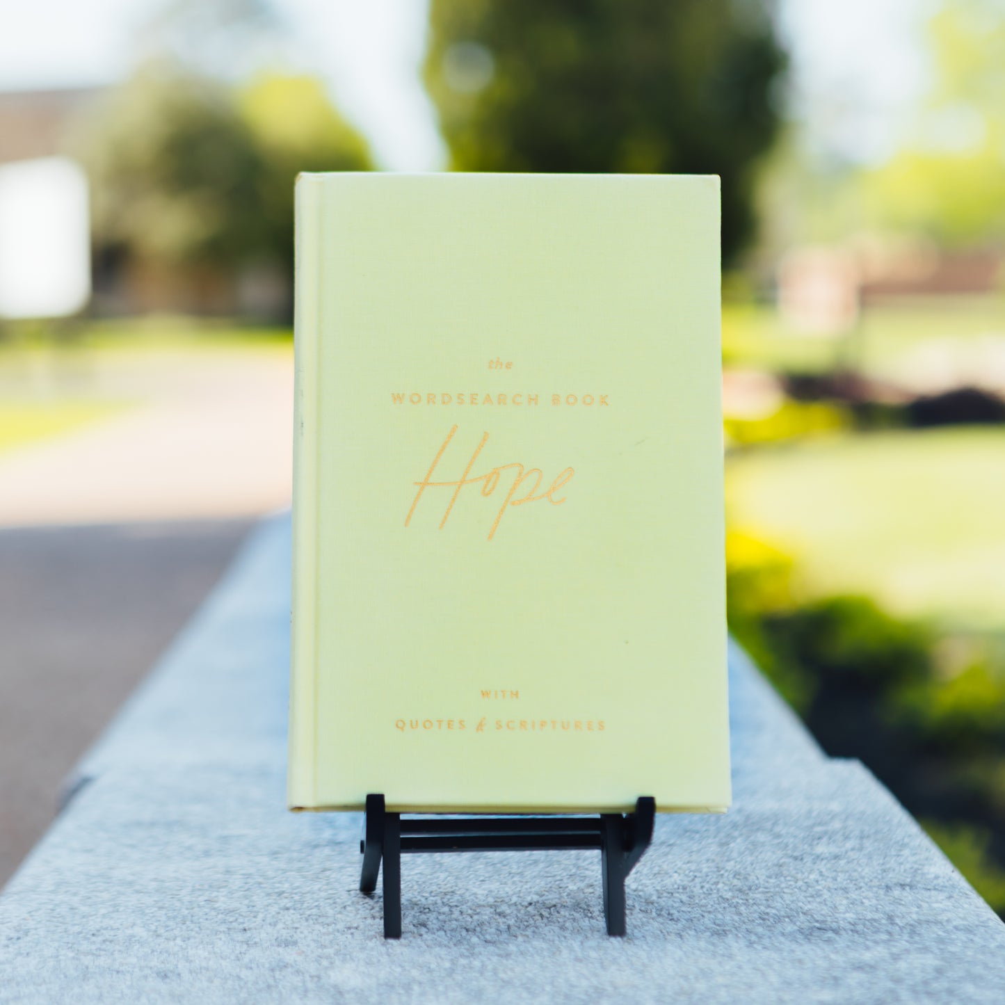 Wordsearch Book: Hope