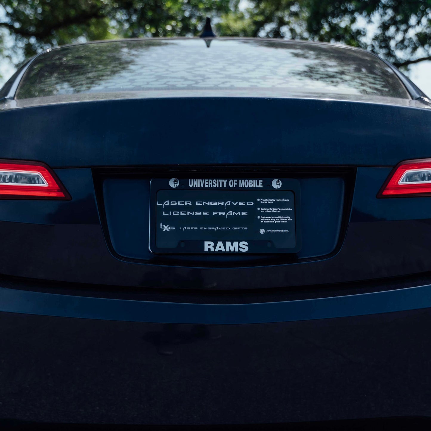 License Plate Frame