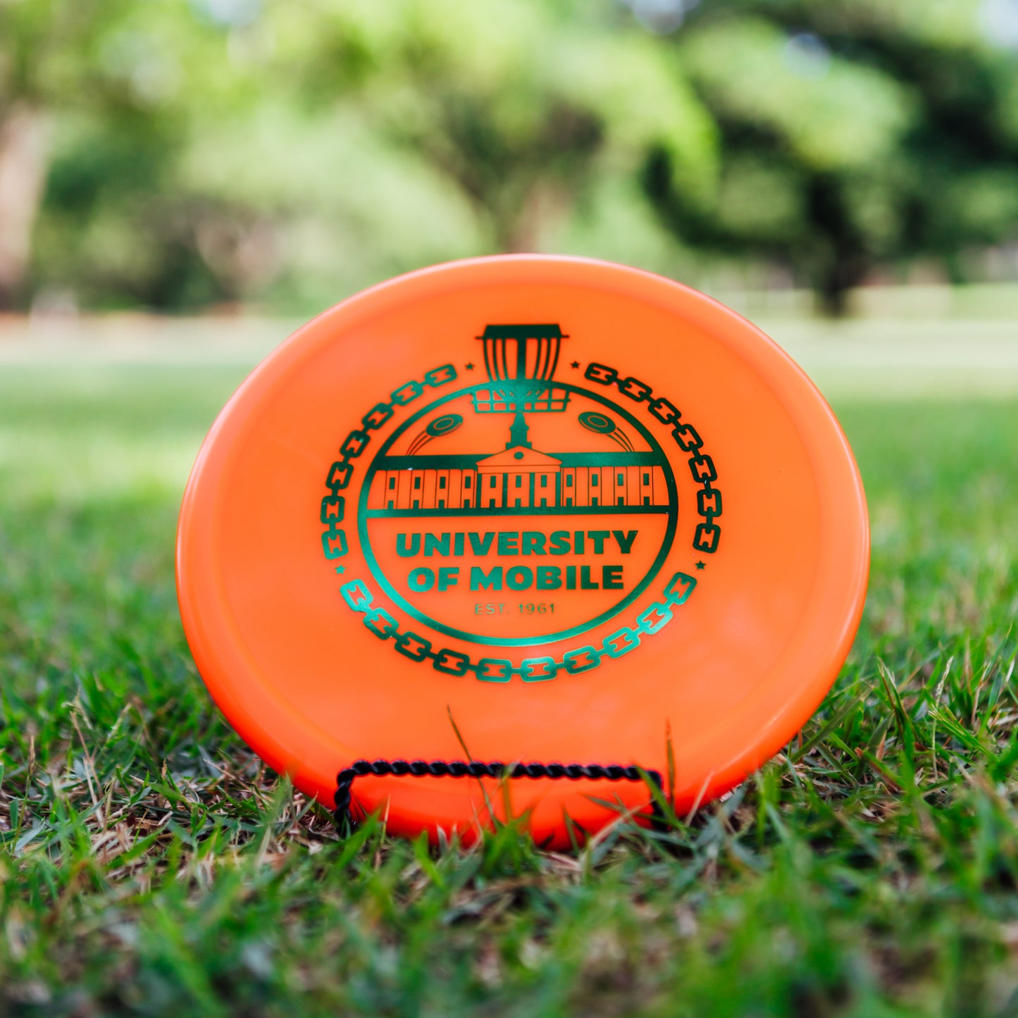 Innova R-Pro Pig