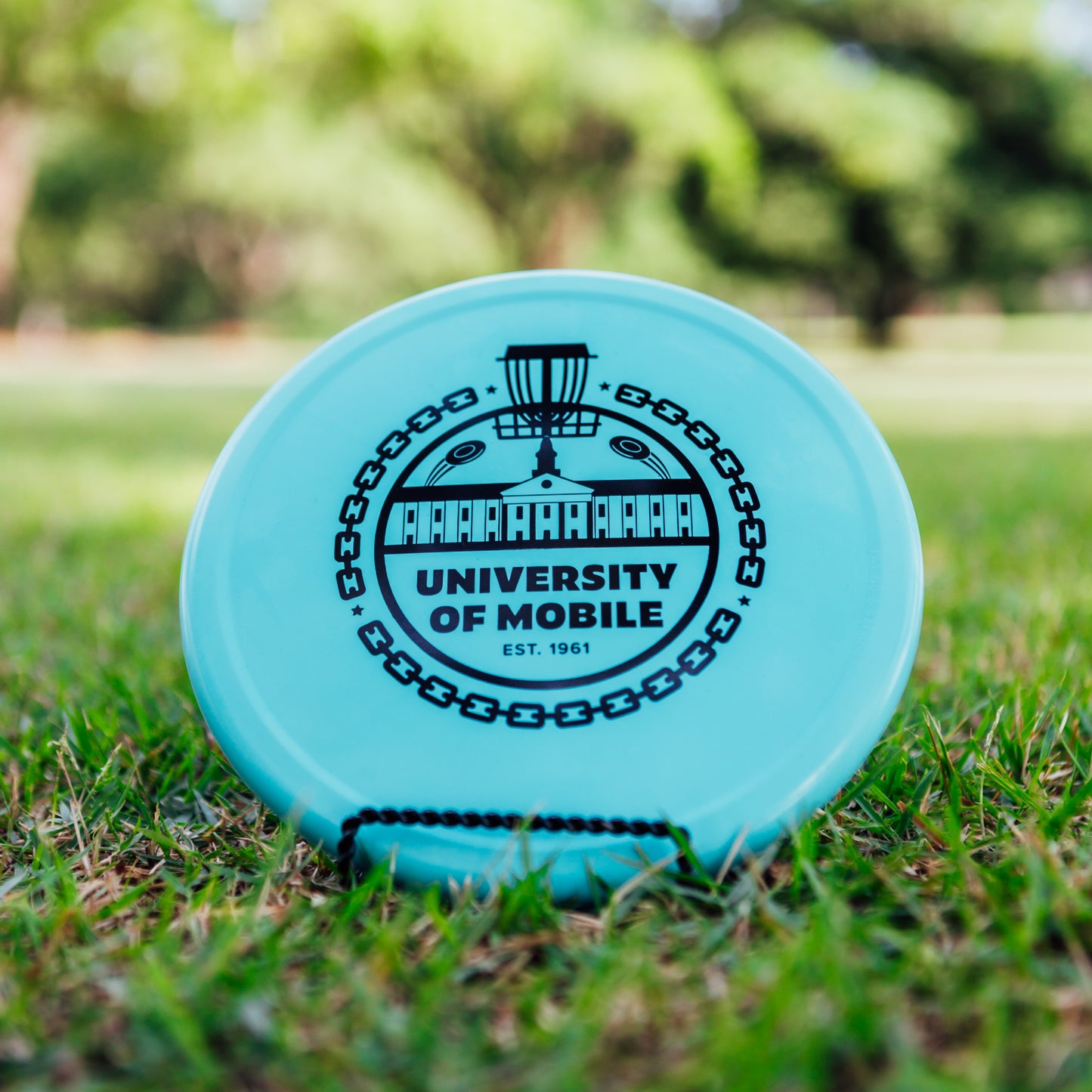 Innova R-Pro Pig