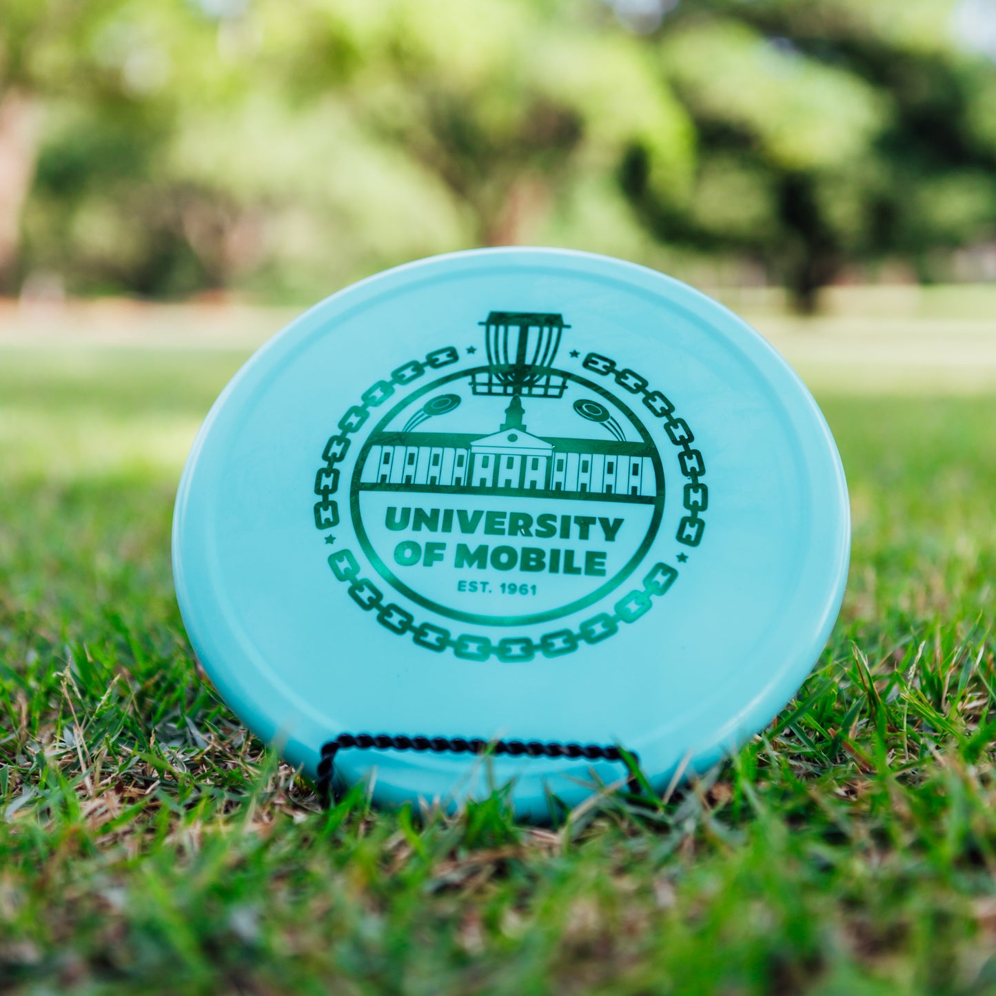 Innova R-Pro Pig