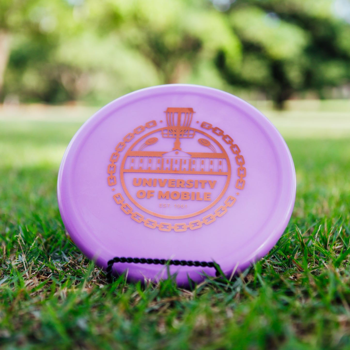 Innova R-Pro Pig