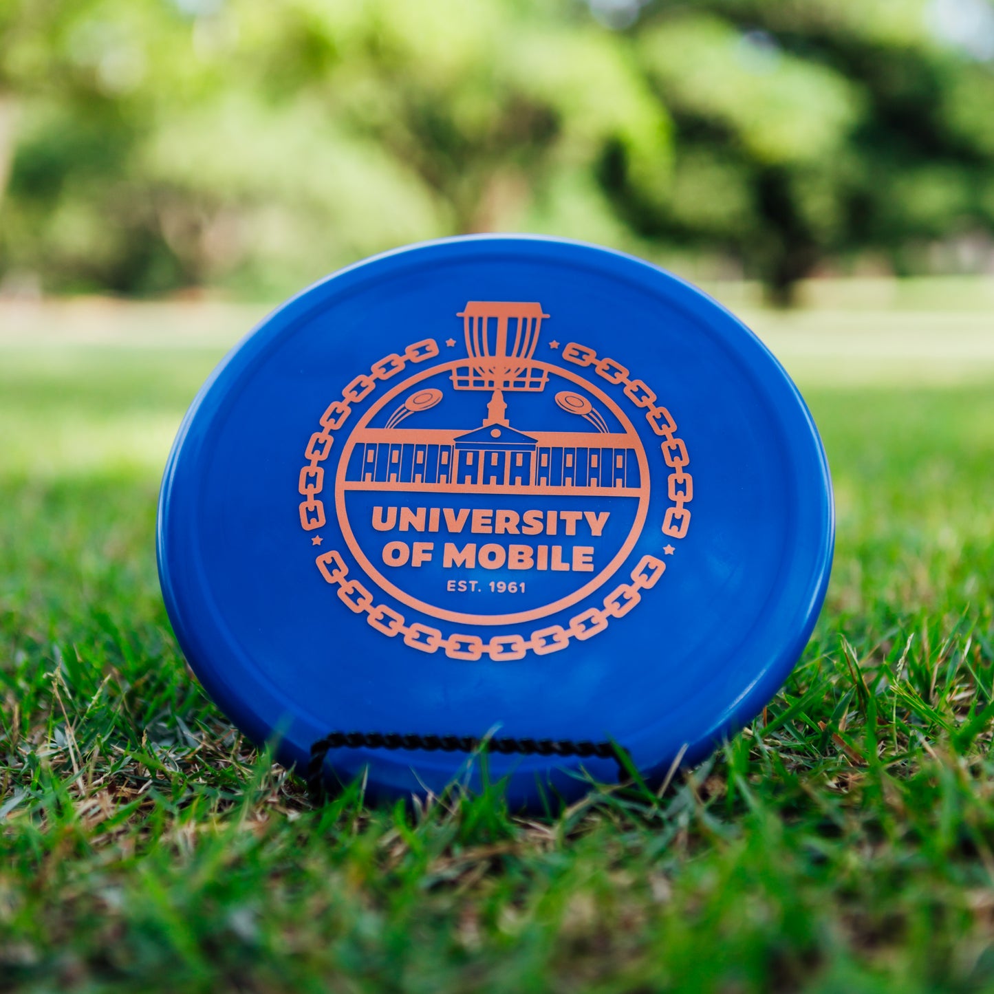 Innova R-Pro Pig