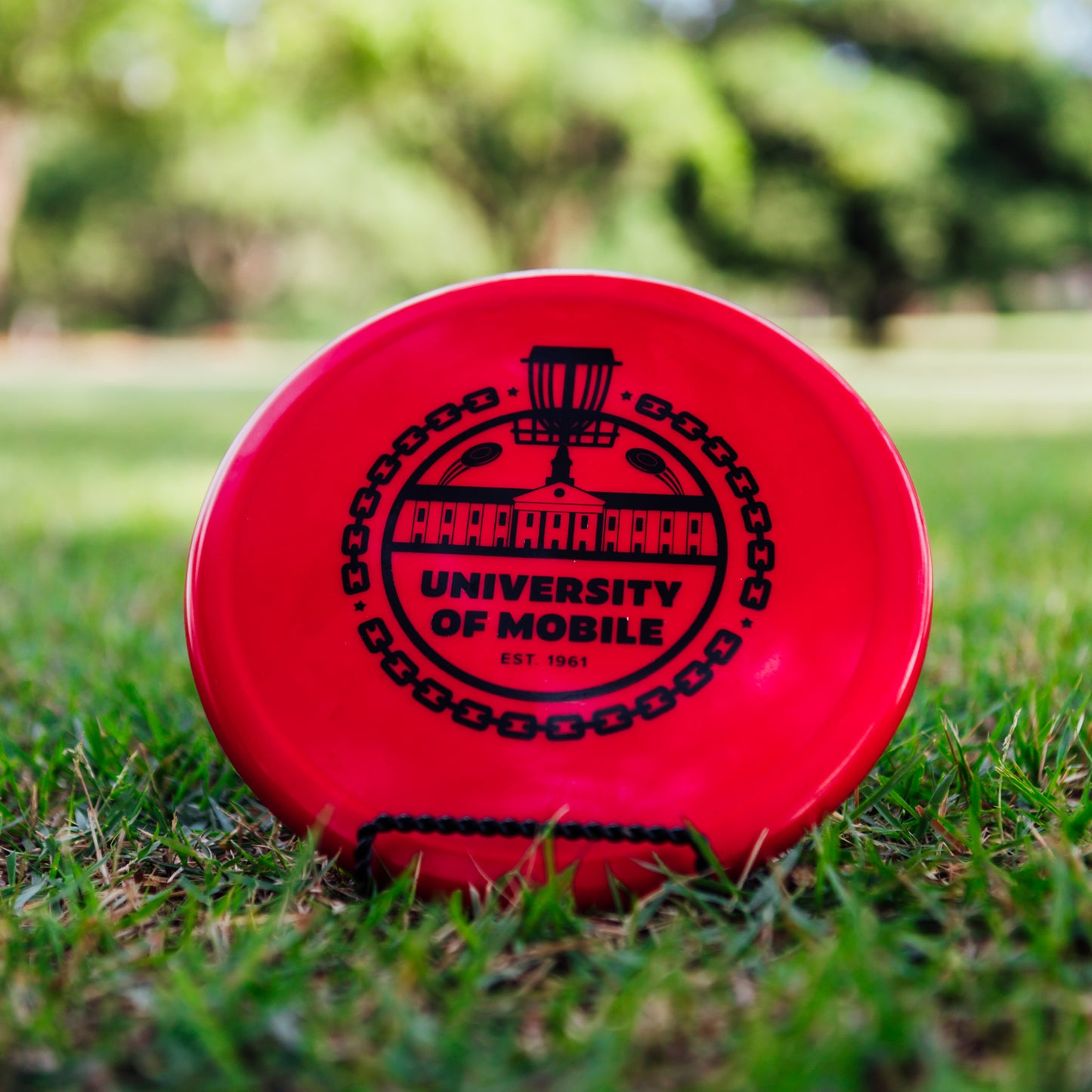 Innova R-Pro Pig