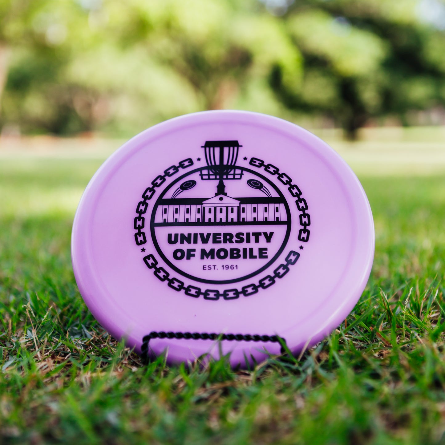 Innova R-Pro Pig
