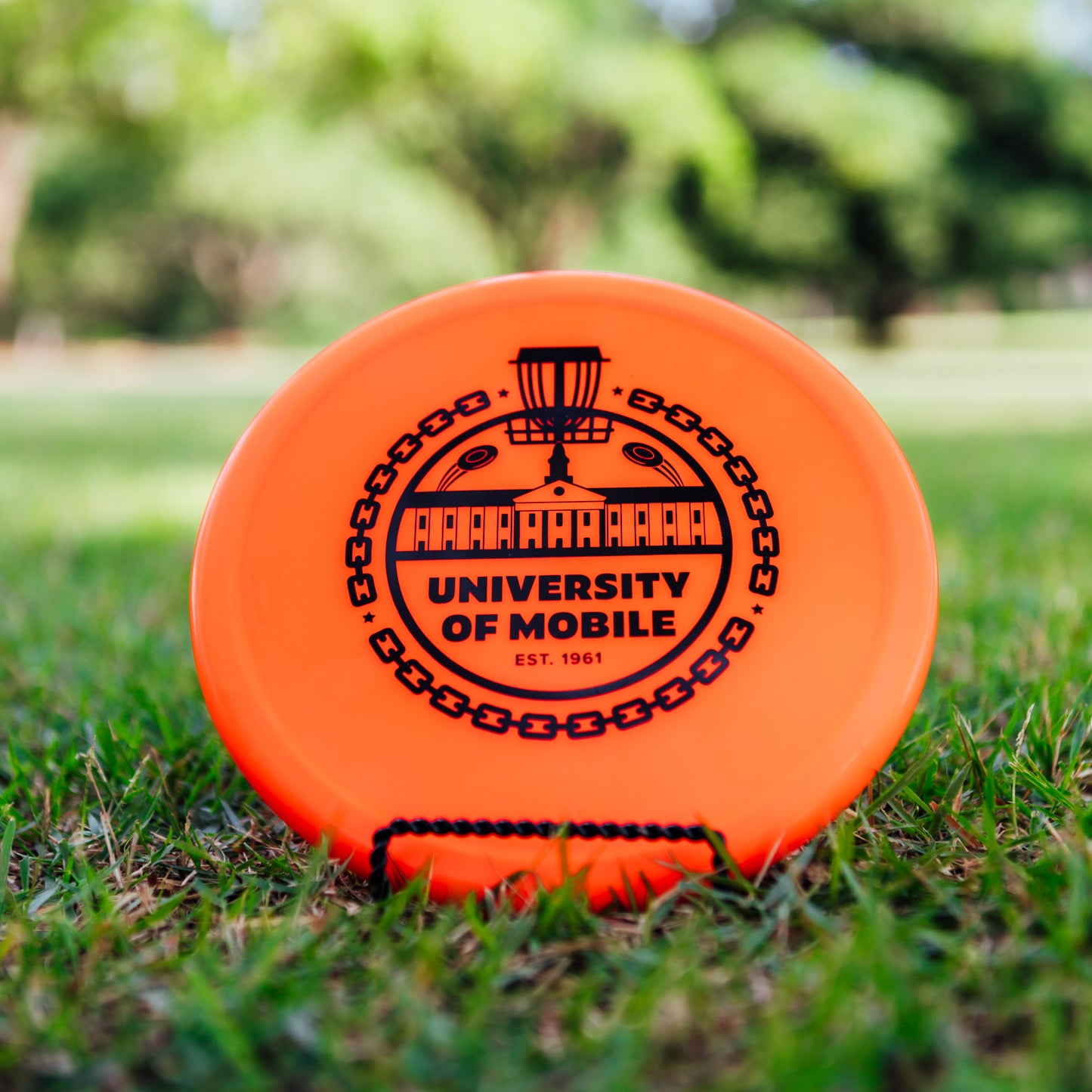 Innova R-Pro Pig
