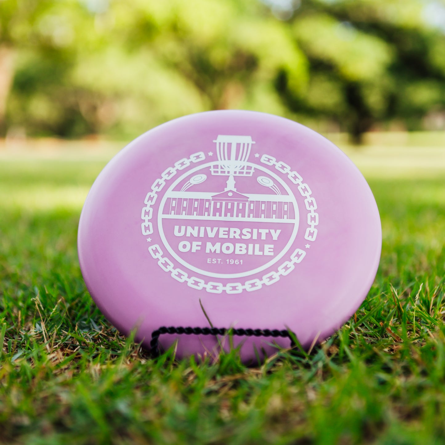 Innova DX Aviar Pro