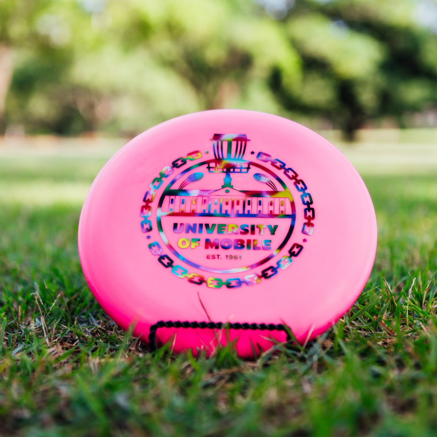 Innova DX Aviar Pro