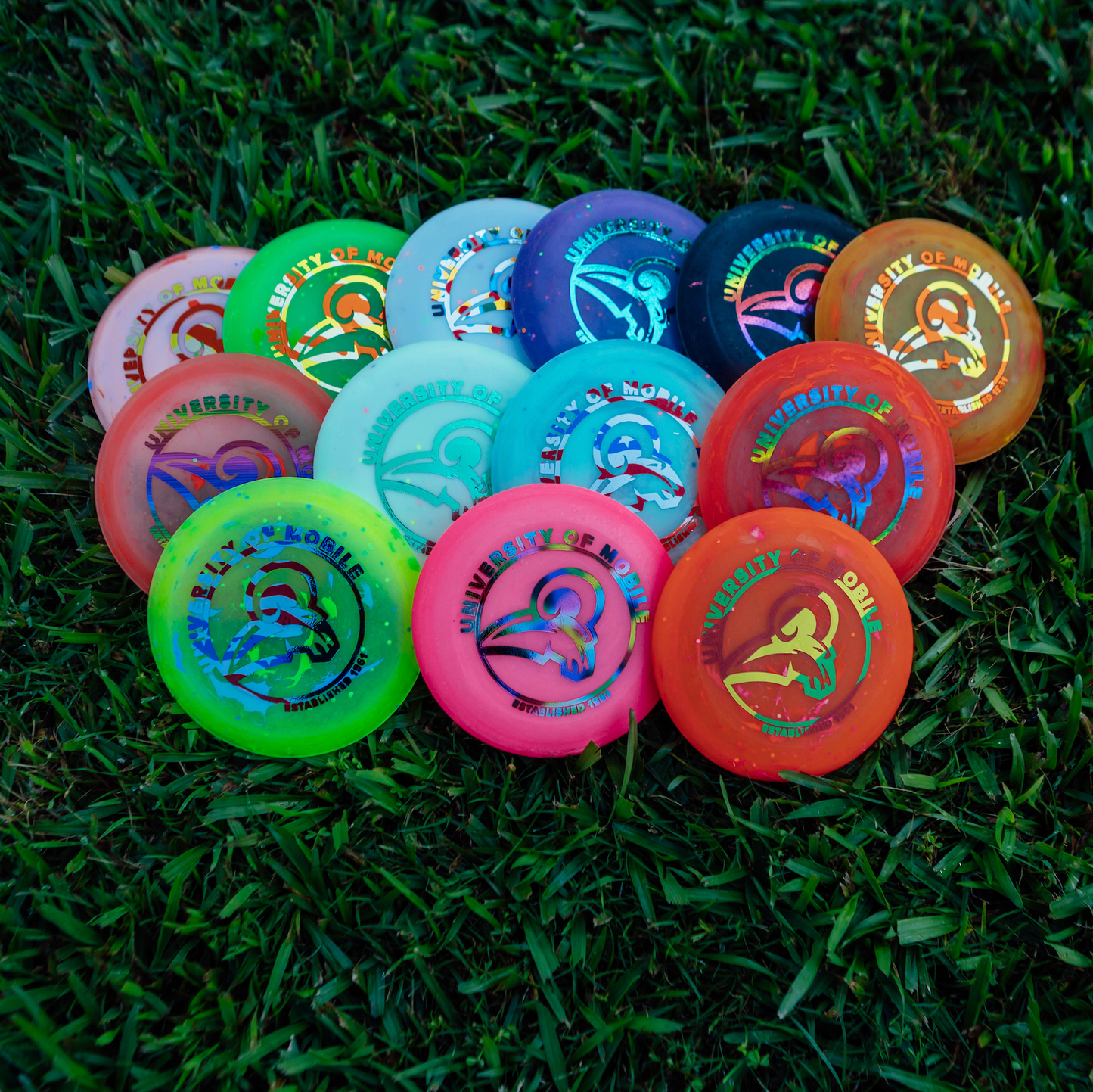 Zing Mini Discs