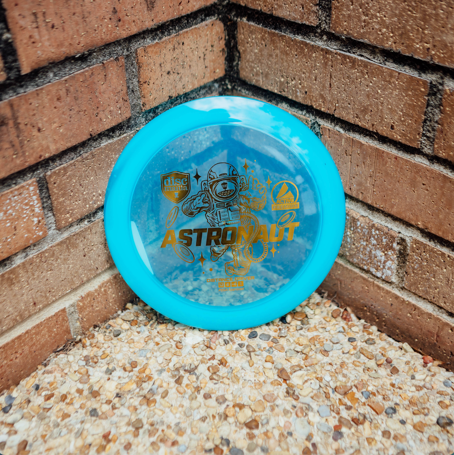 Active Premium Astronaut Disc