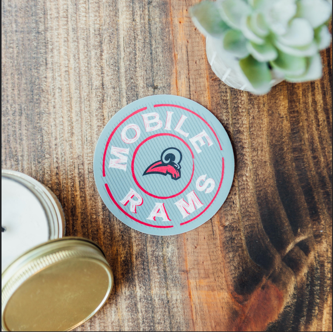 Lined Circle Decal