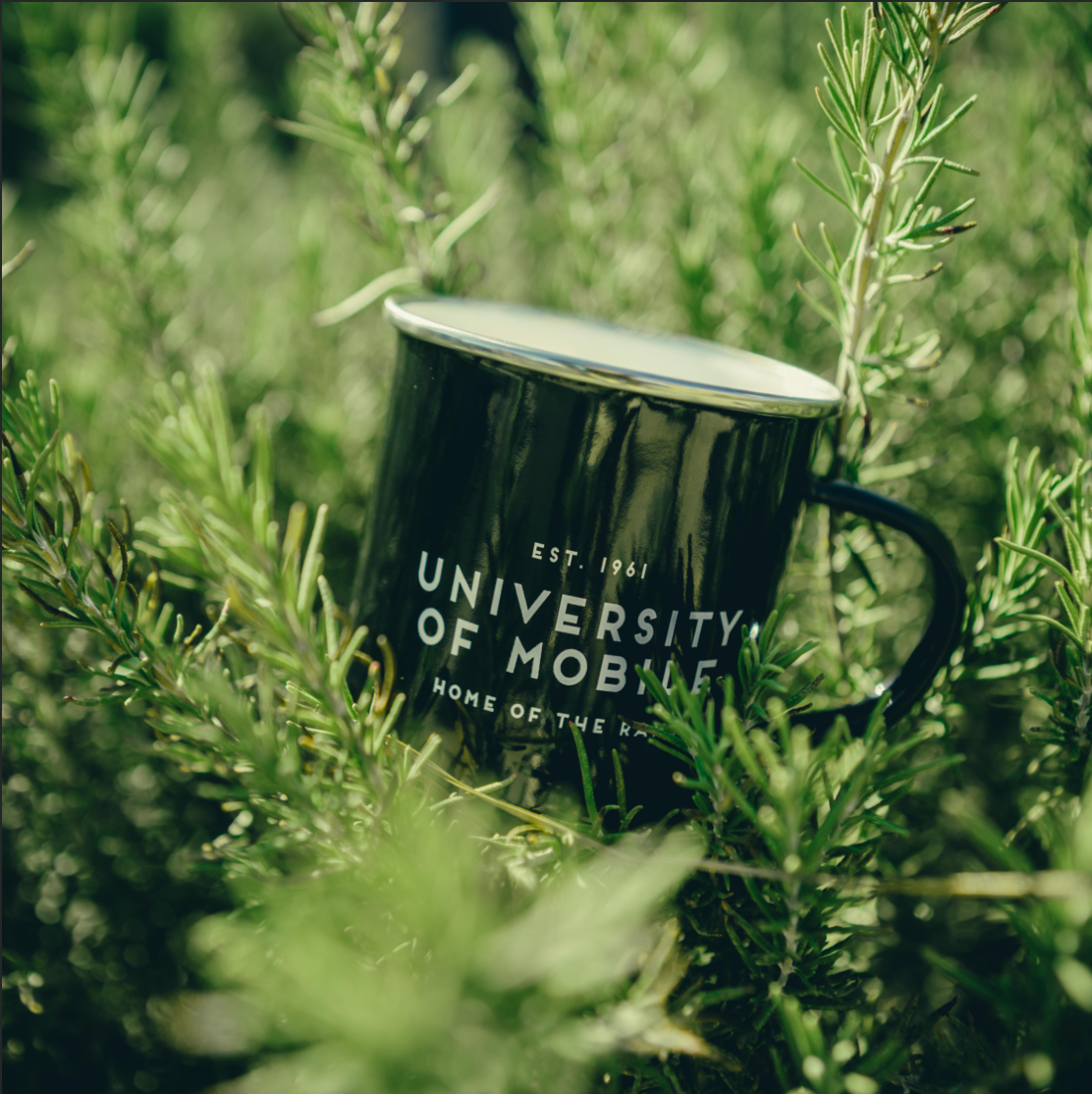 Enamel UM Mug