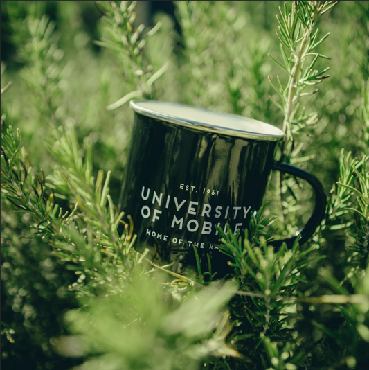 Enamel UM Mug