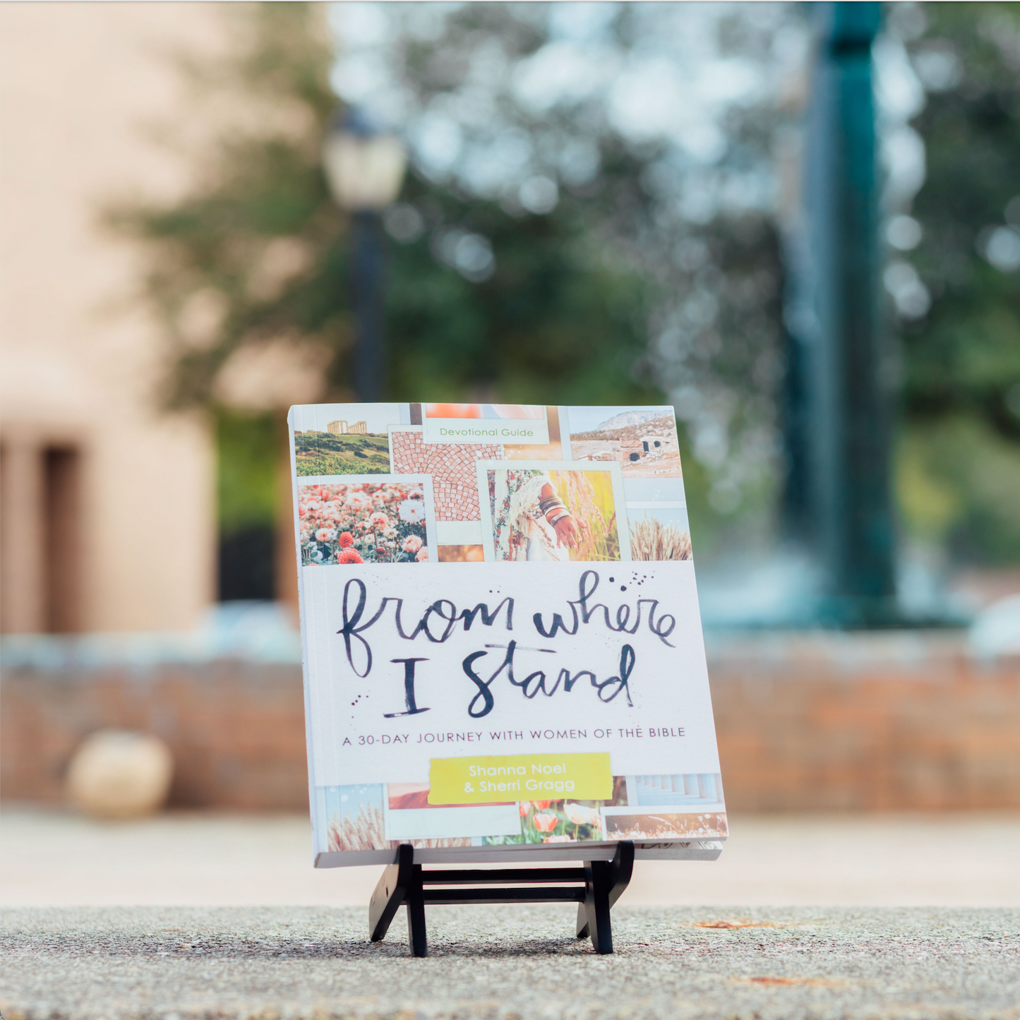From Where I Stand - Women of the Bible Devotional