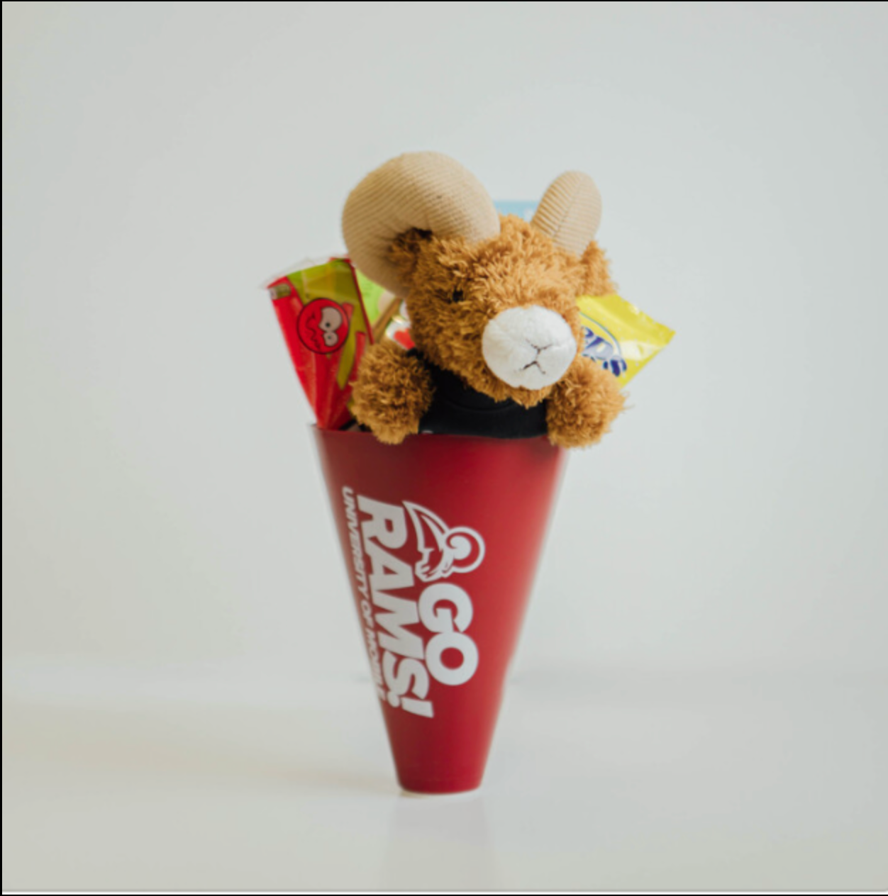 Easter Megaphone Bundle