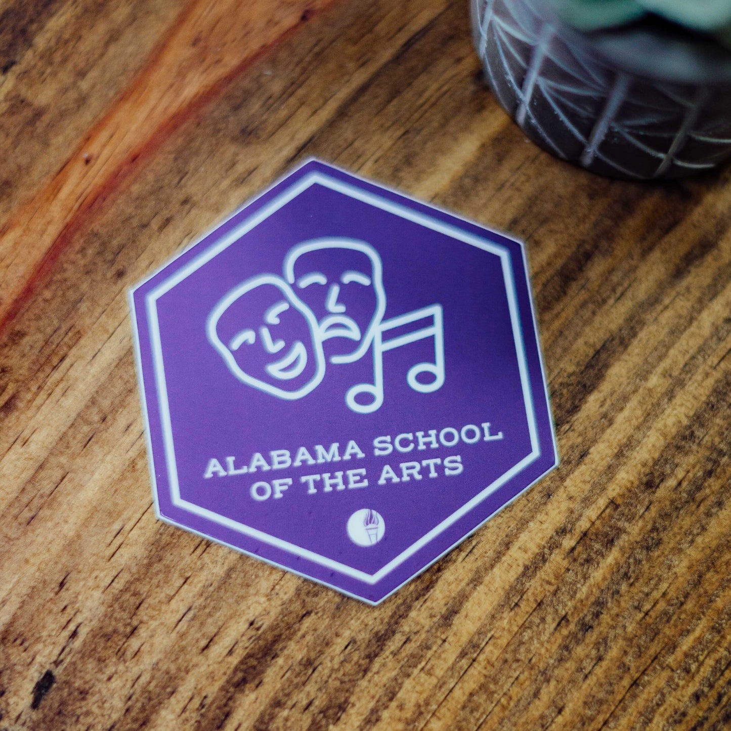 Individual School/College Decals