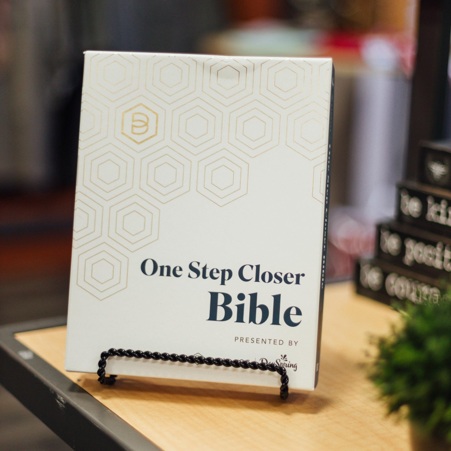 One Step Closer Bible