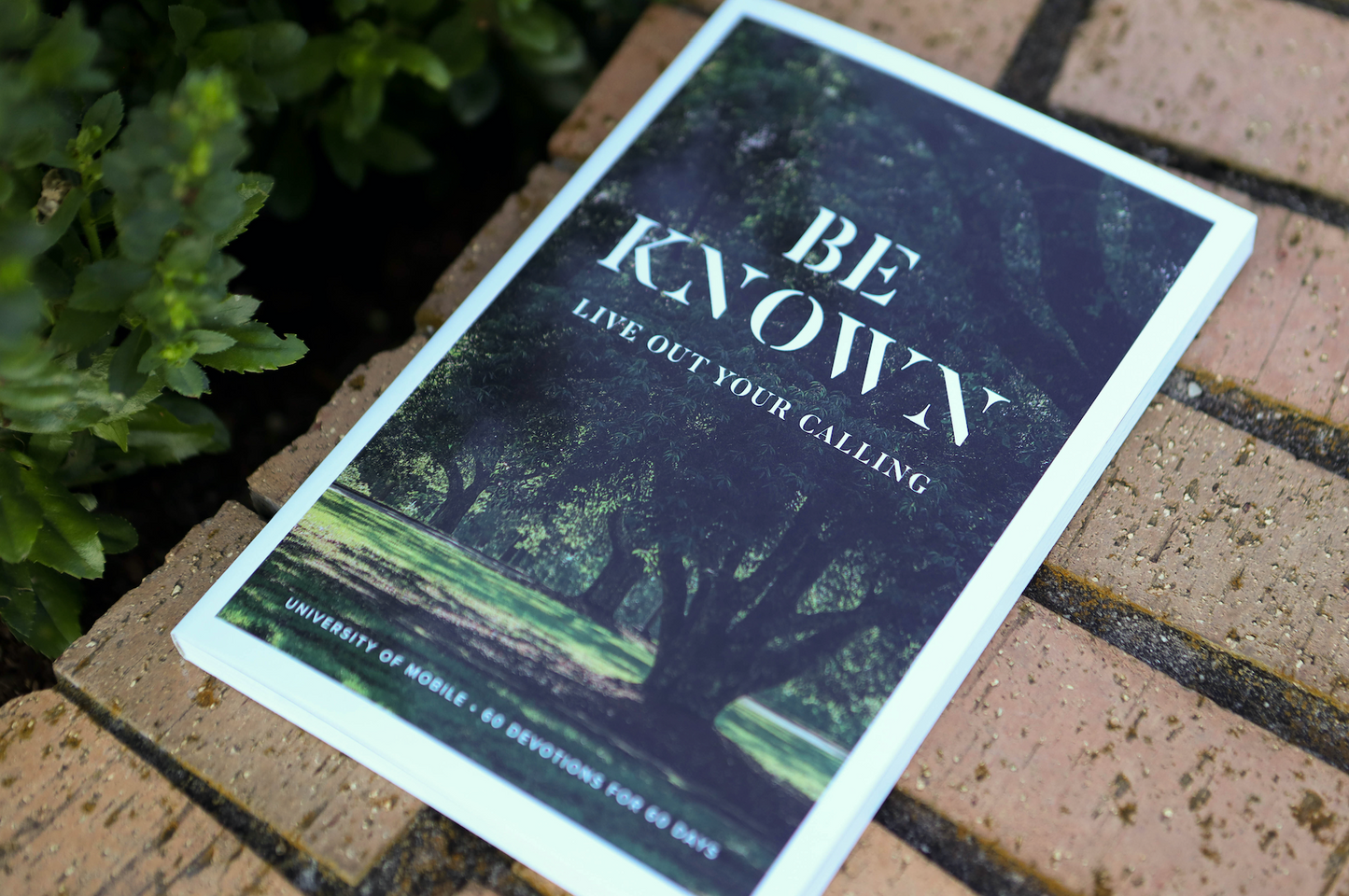 Be Known Live Out Your Calling Devotion
