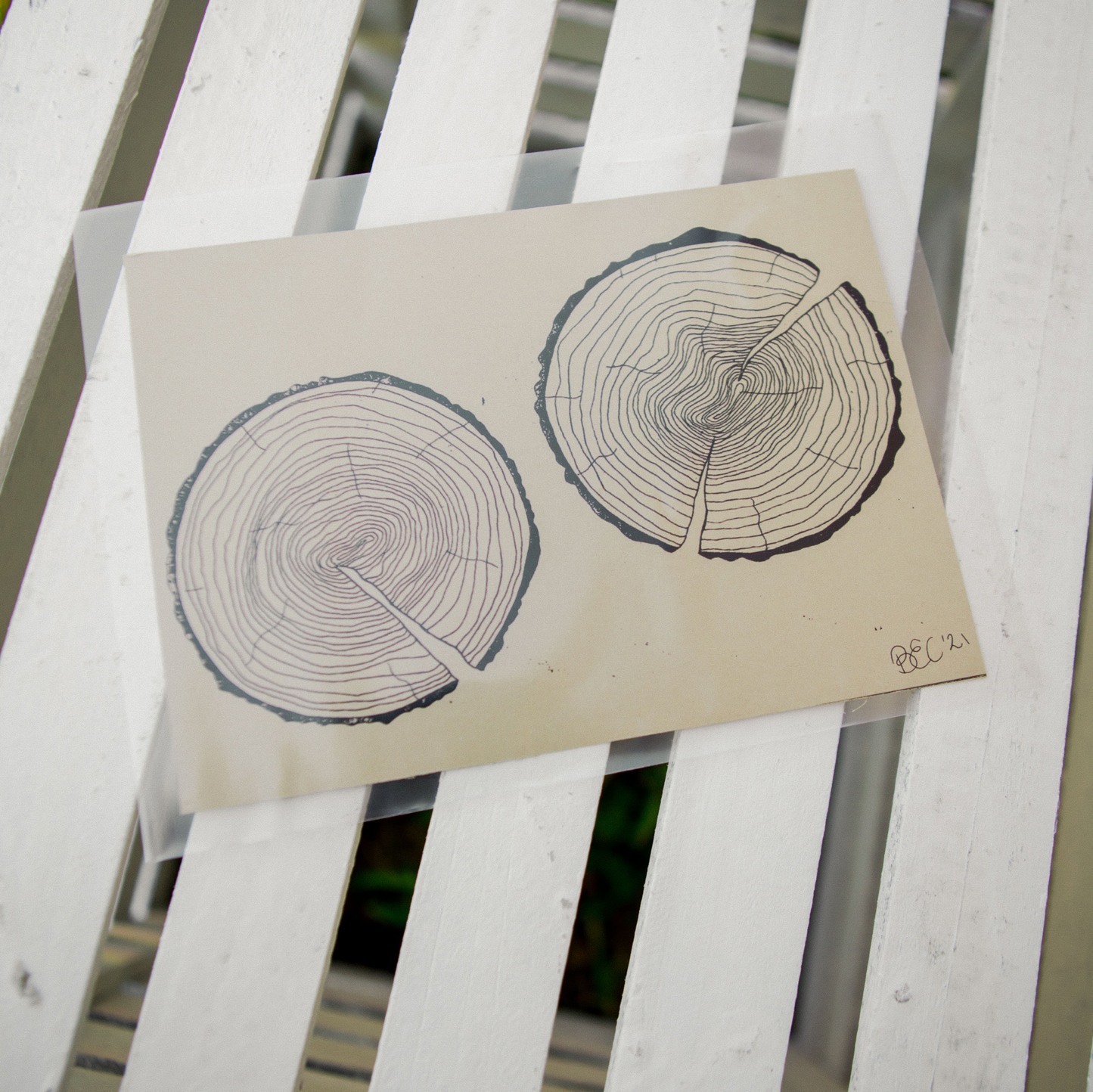 Tree Ring Prints