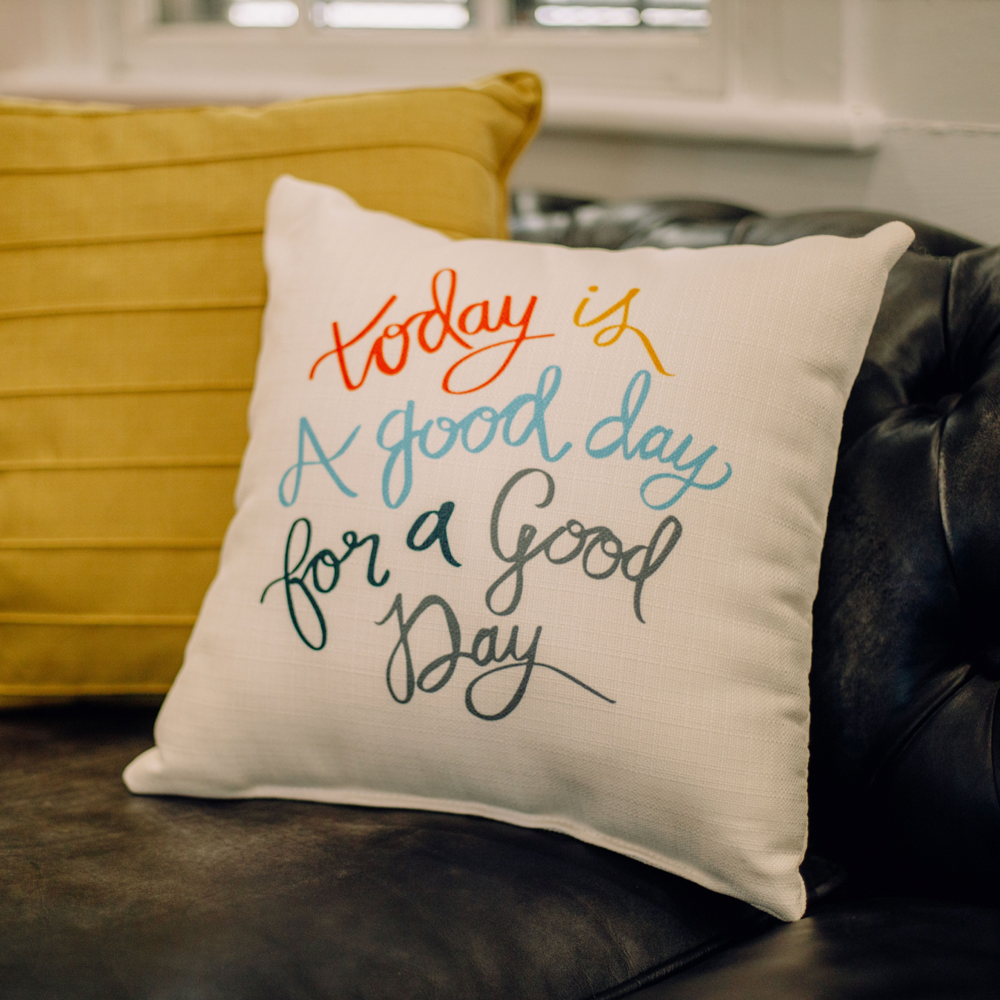 Pillow - Today is a Good Day