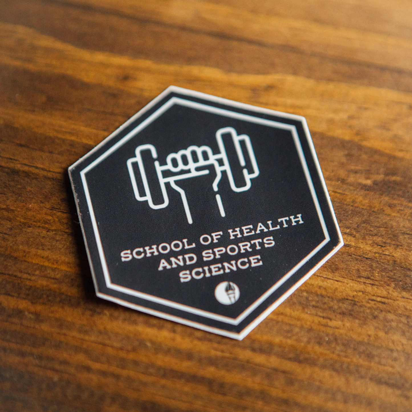 Individual School/College Decals