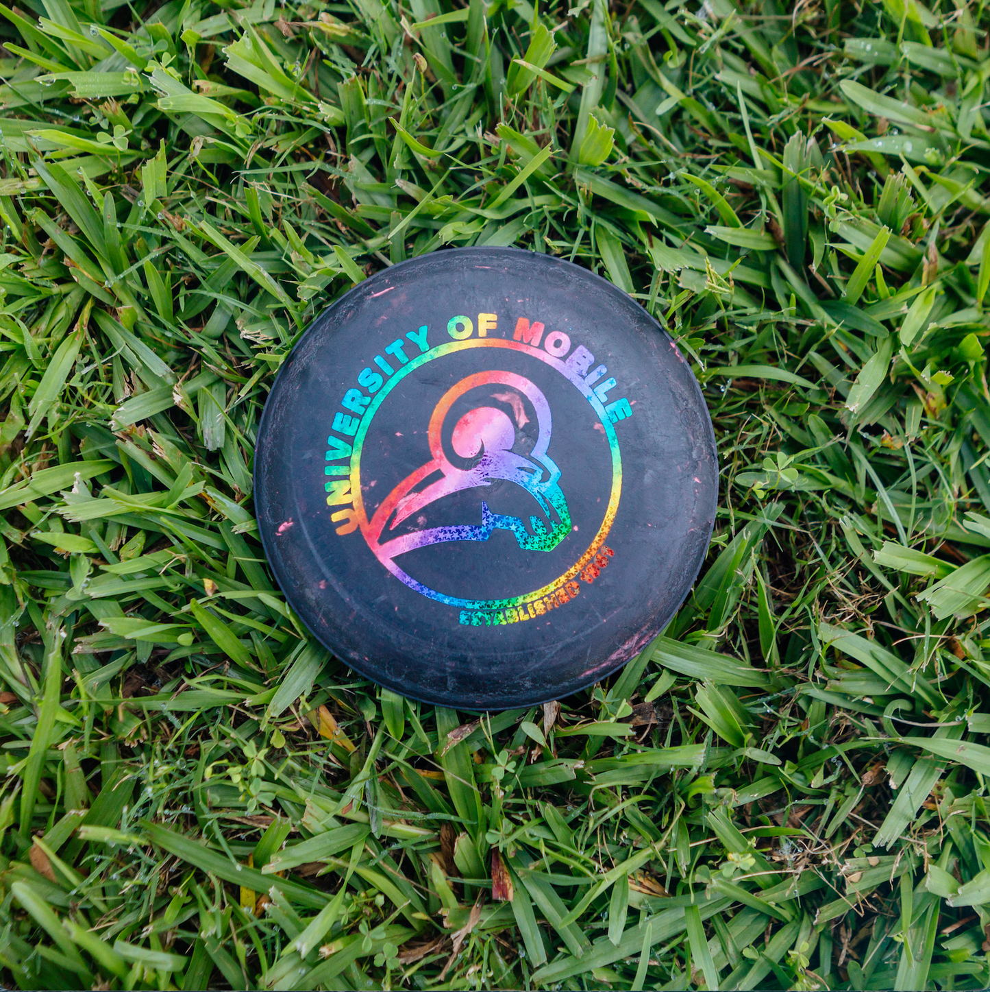 Zing Mini Discs