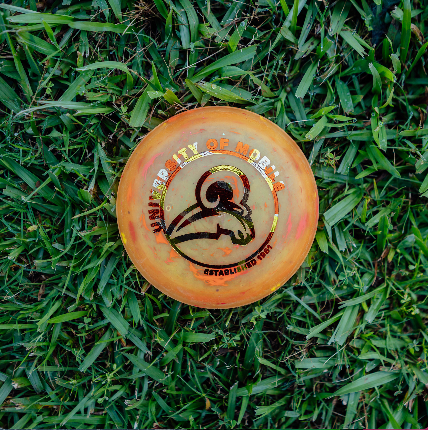 Zing Mini Discs