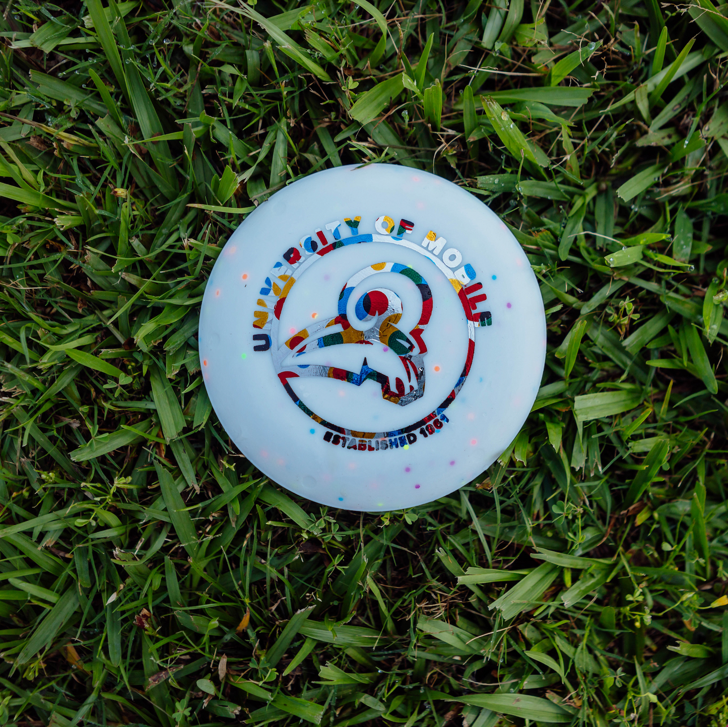 Zing Mini Discs