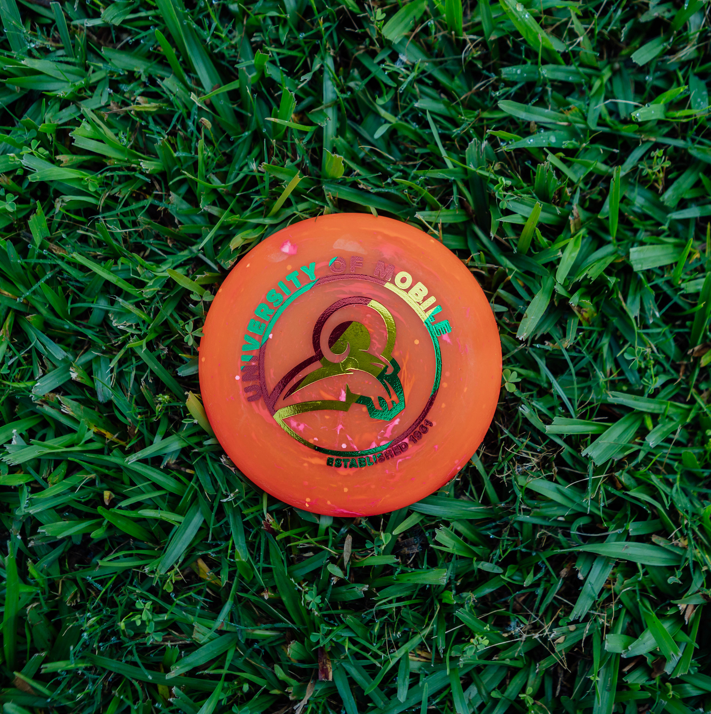 Zing Mini Discs