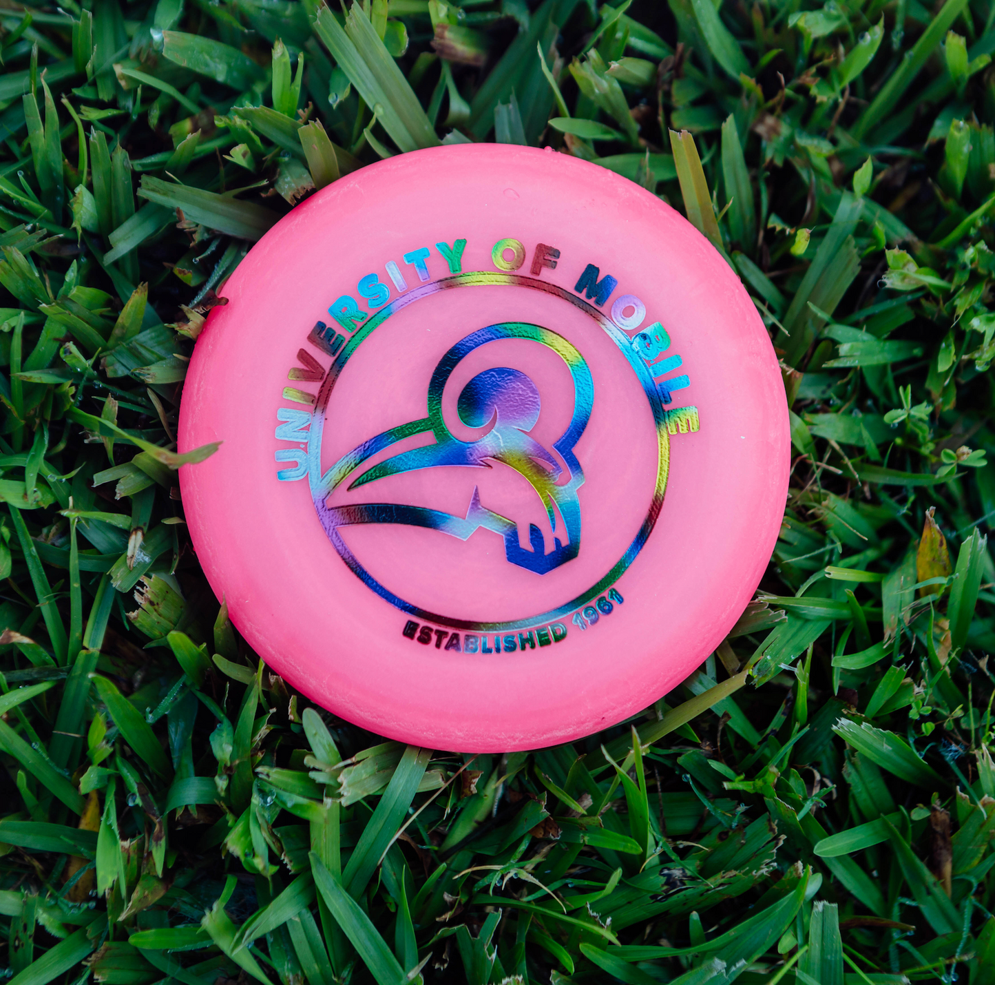 Zing Mini Discs