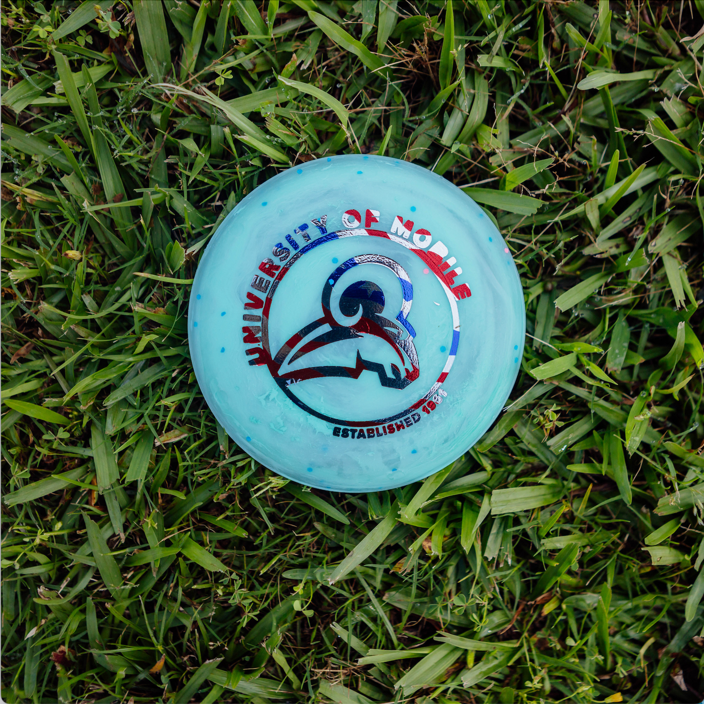 Zing Mini Discs