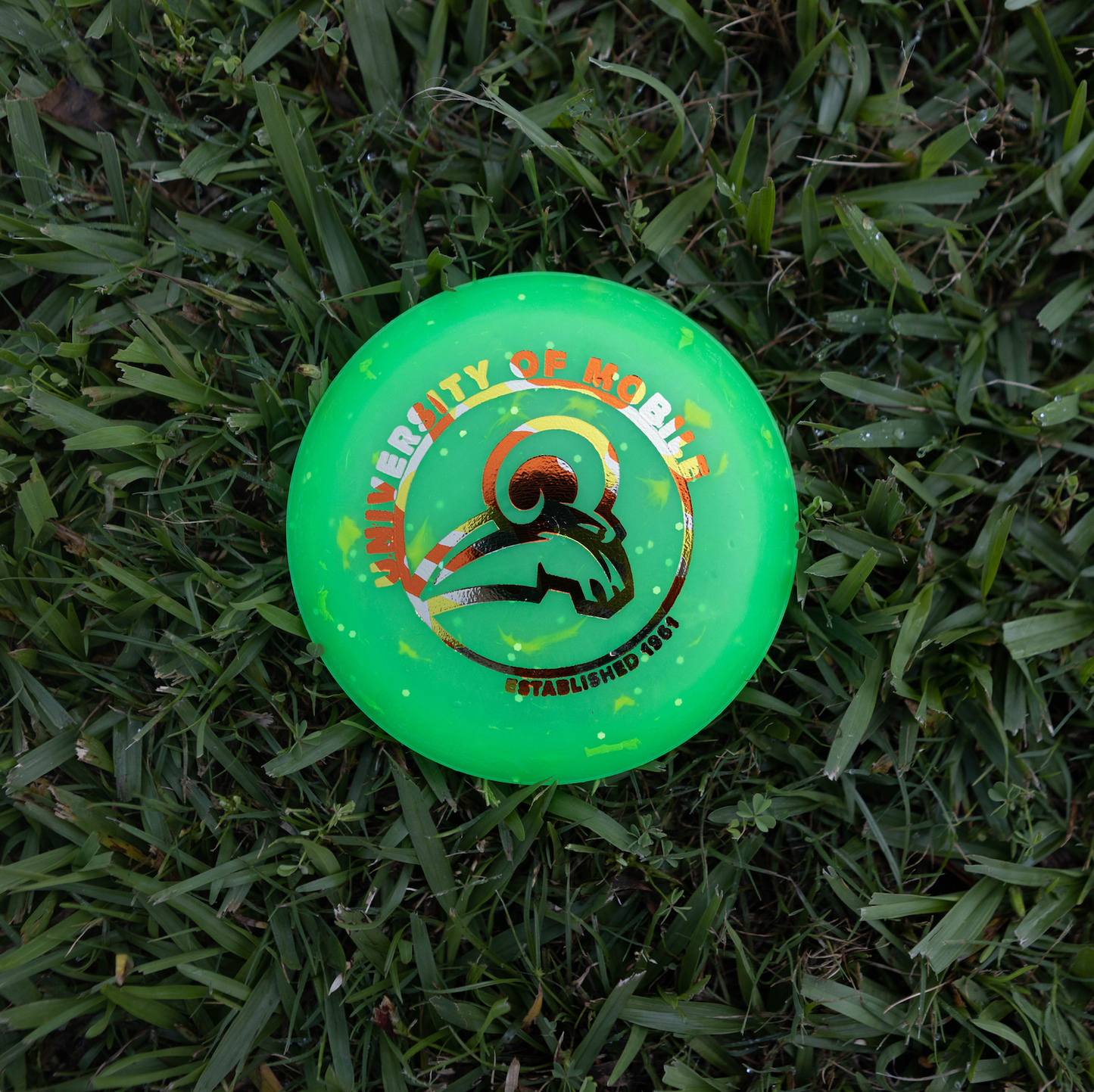 Zing Mini Discs