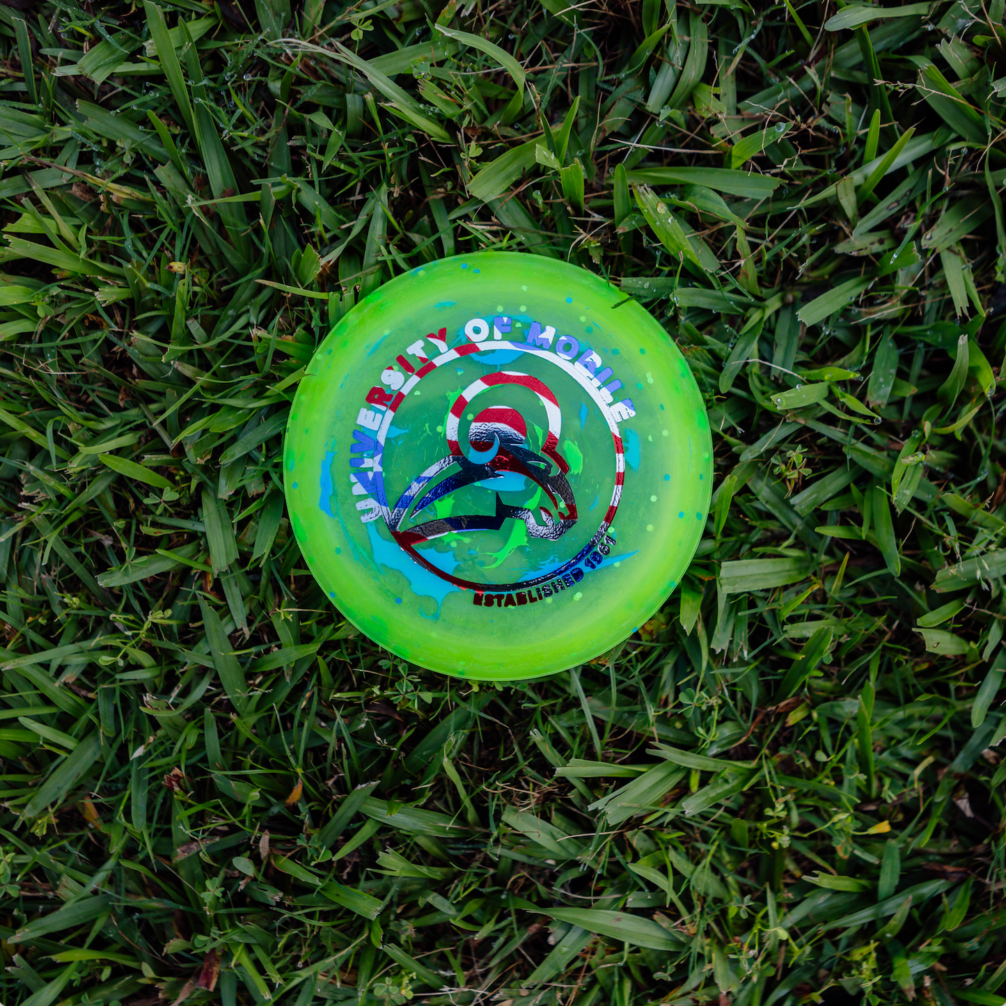 Zing Mini Discs