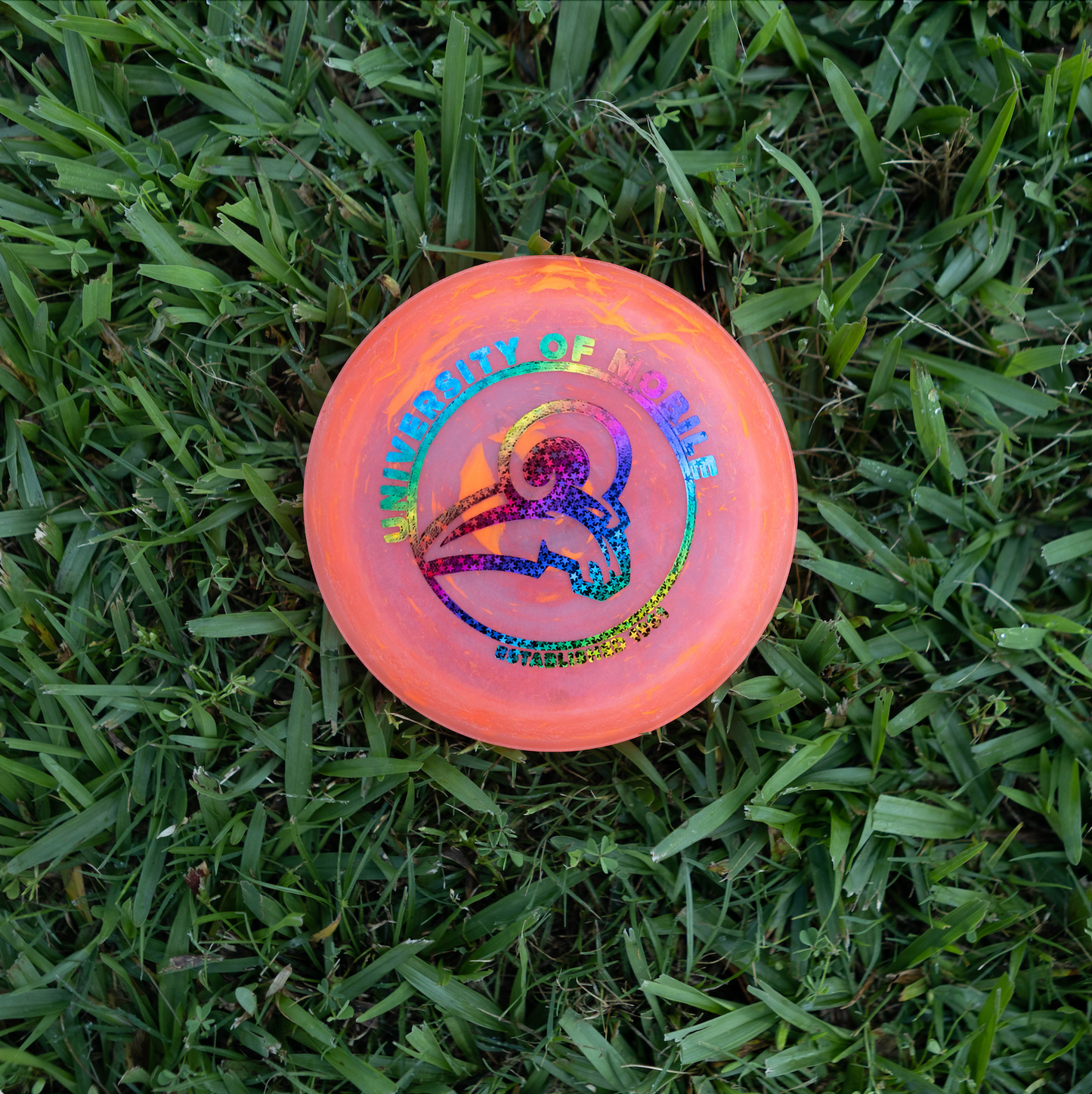 Zing Mini Discs