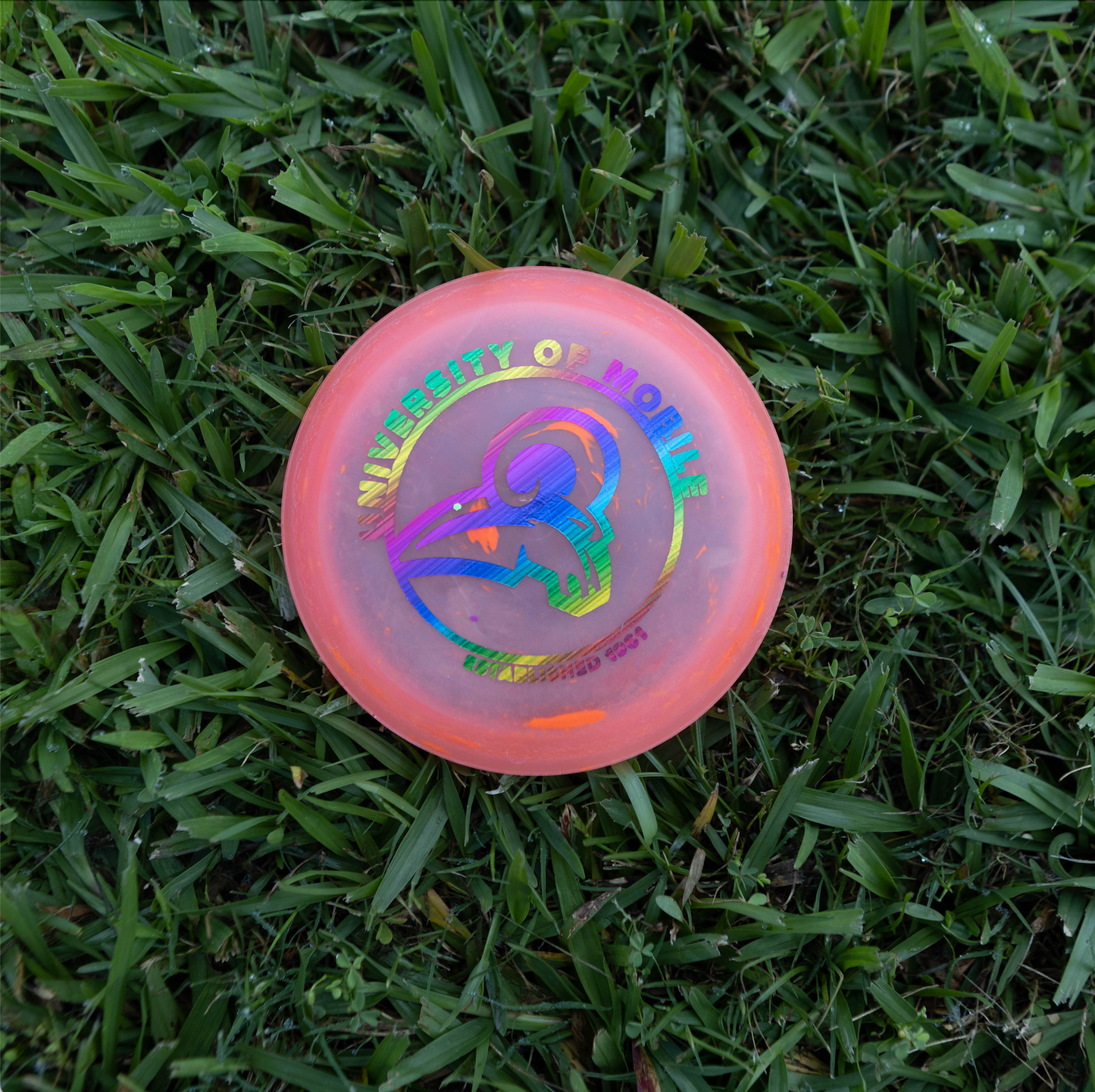 Zing Mini Discs