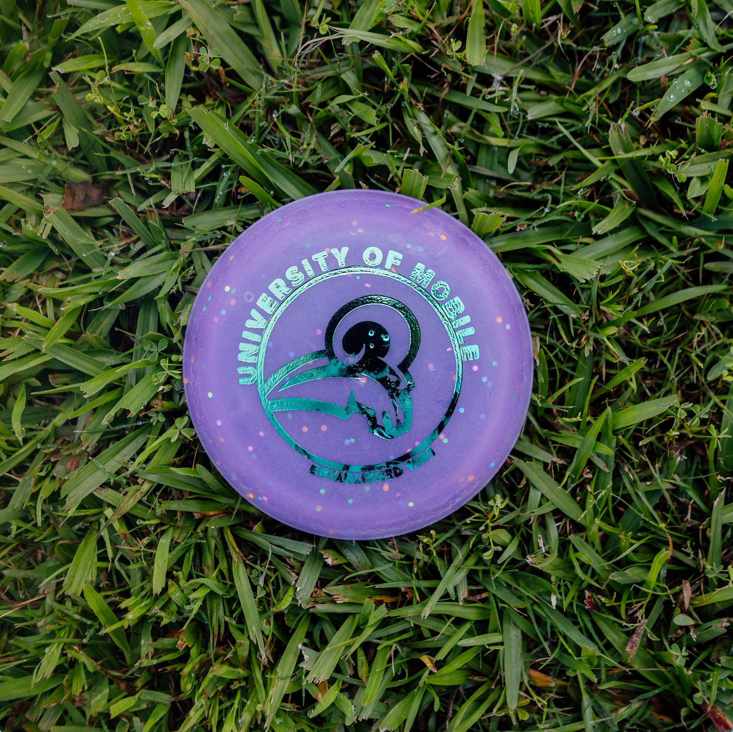 Zing Mini Discs