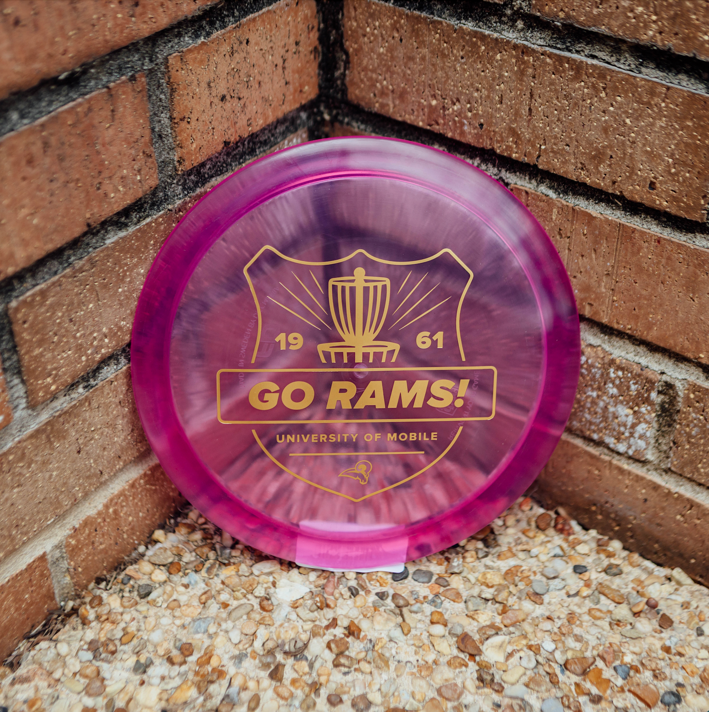 UM C-Line FD Disc