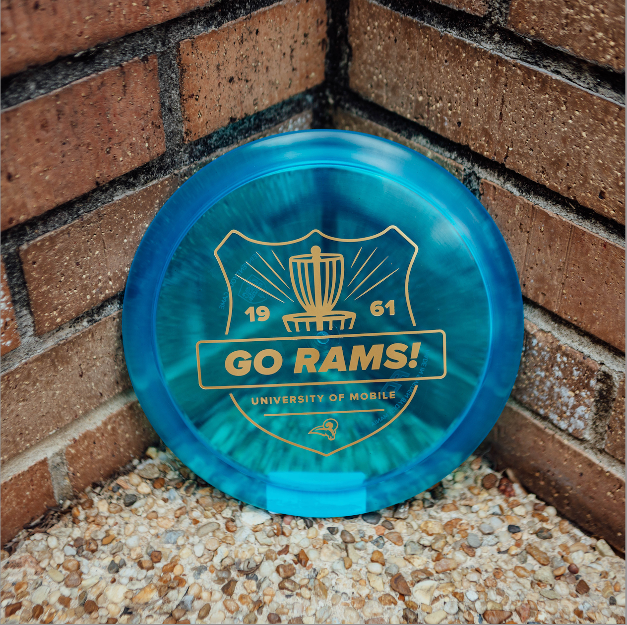 UM C-Line FD Disc