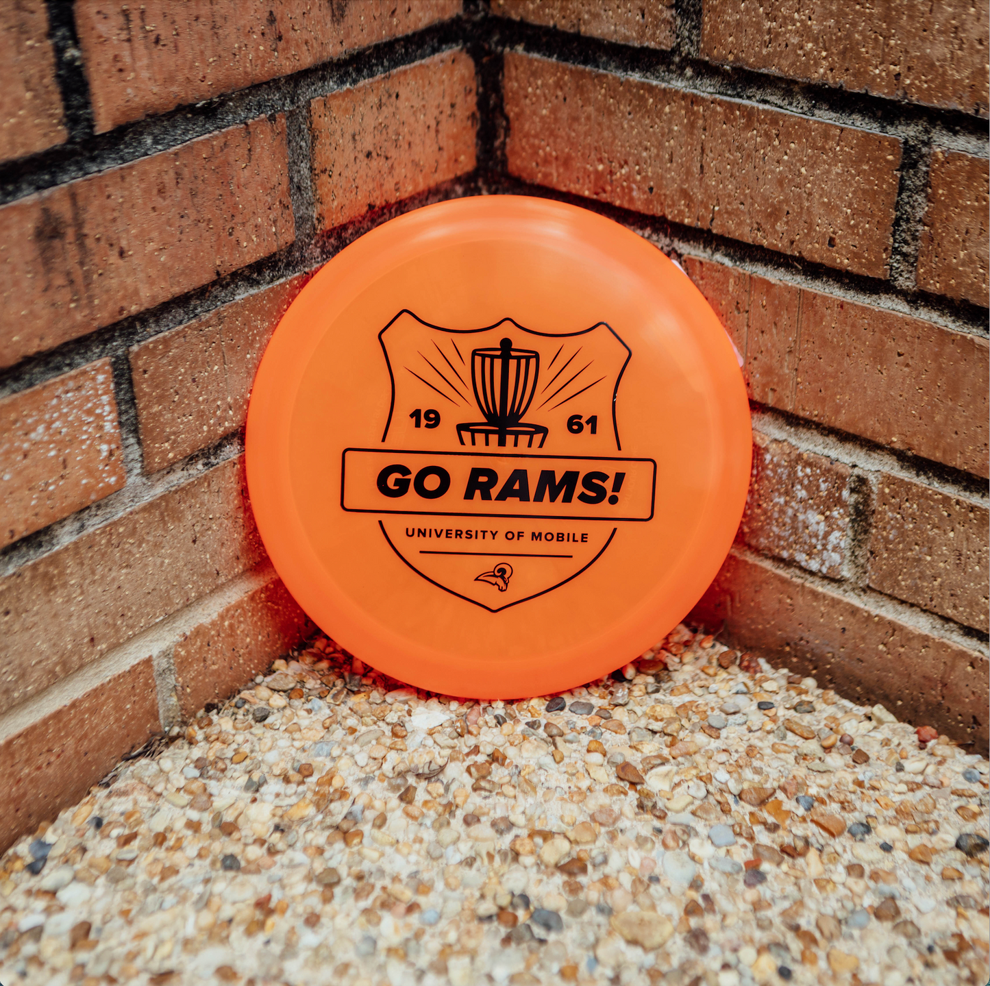 UM C-Line FD Disc