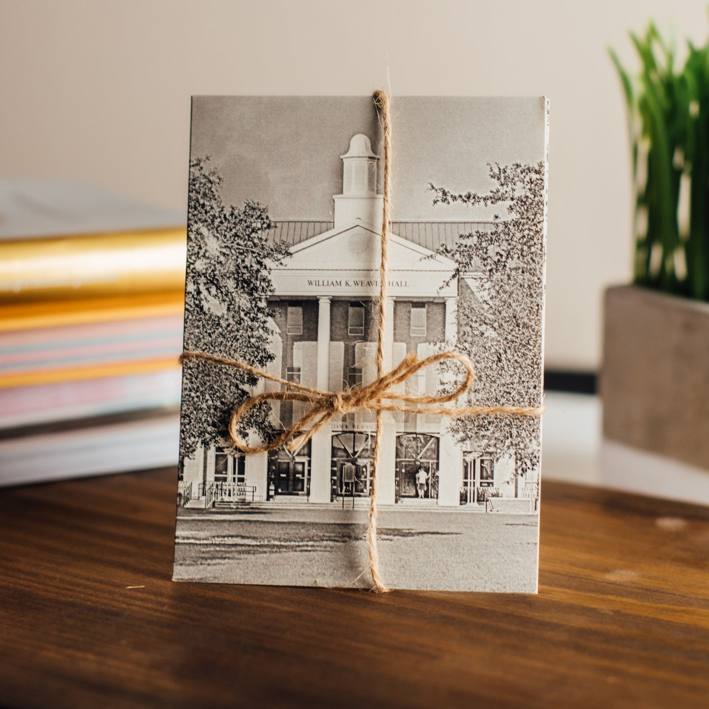 UM Postcards Set of 5
