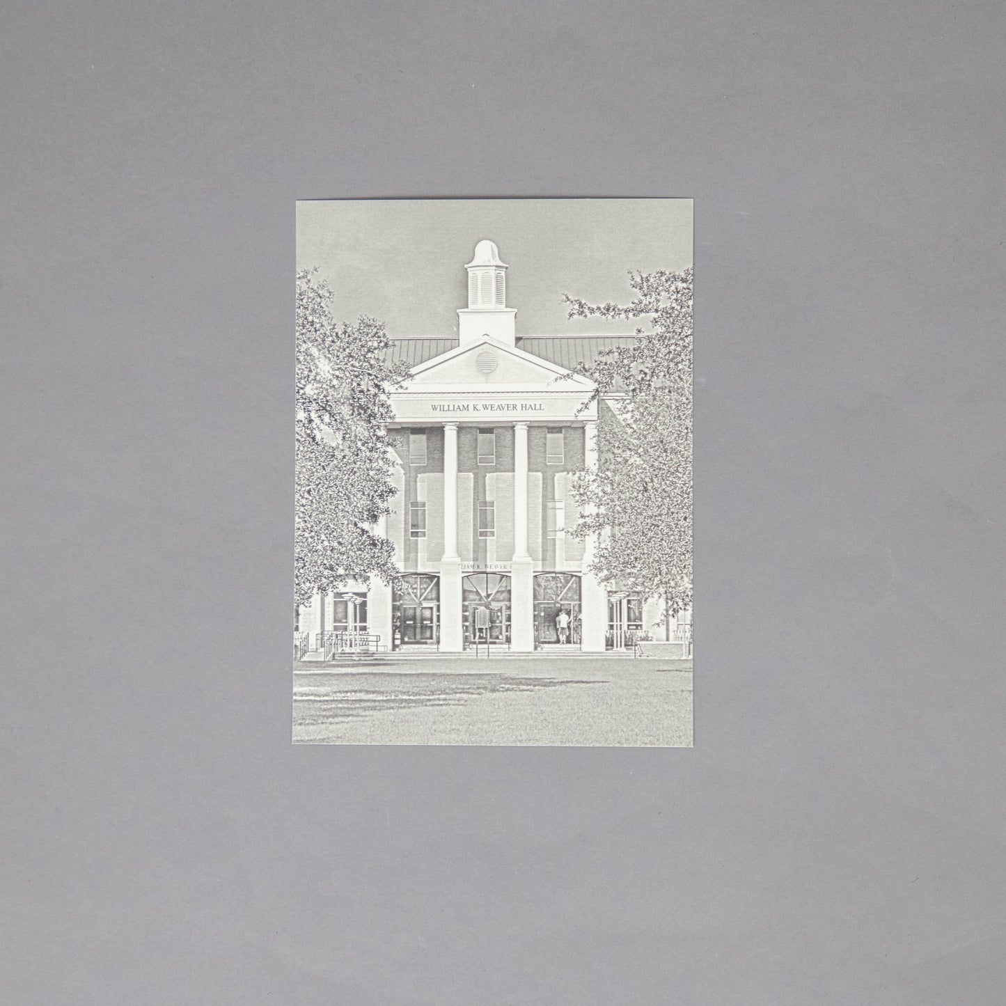 UM Postcards Set of 5