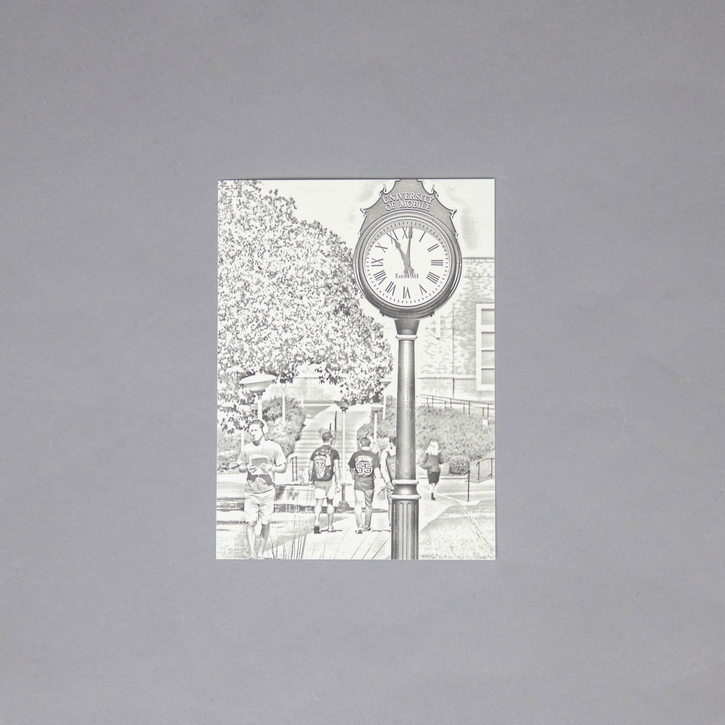 UM Postcards Set of 5