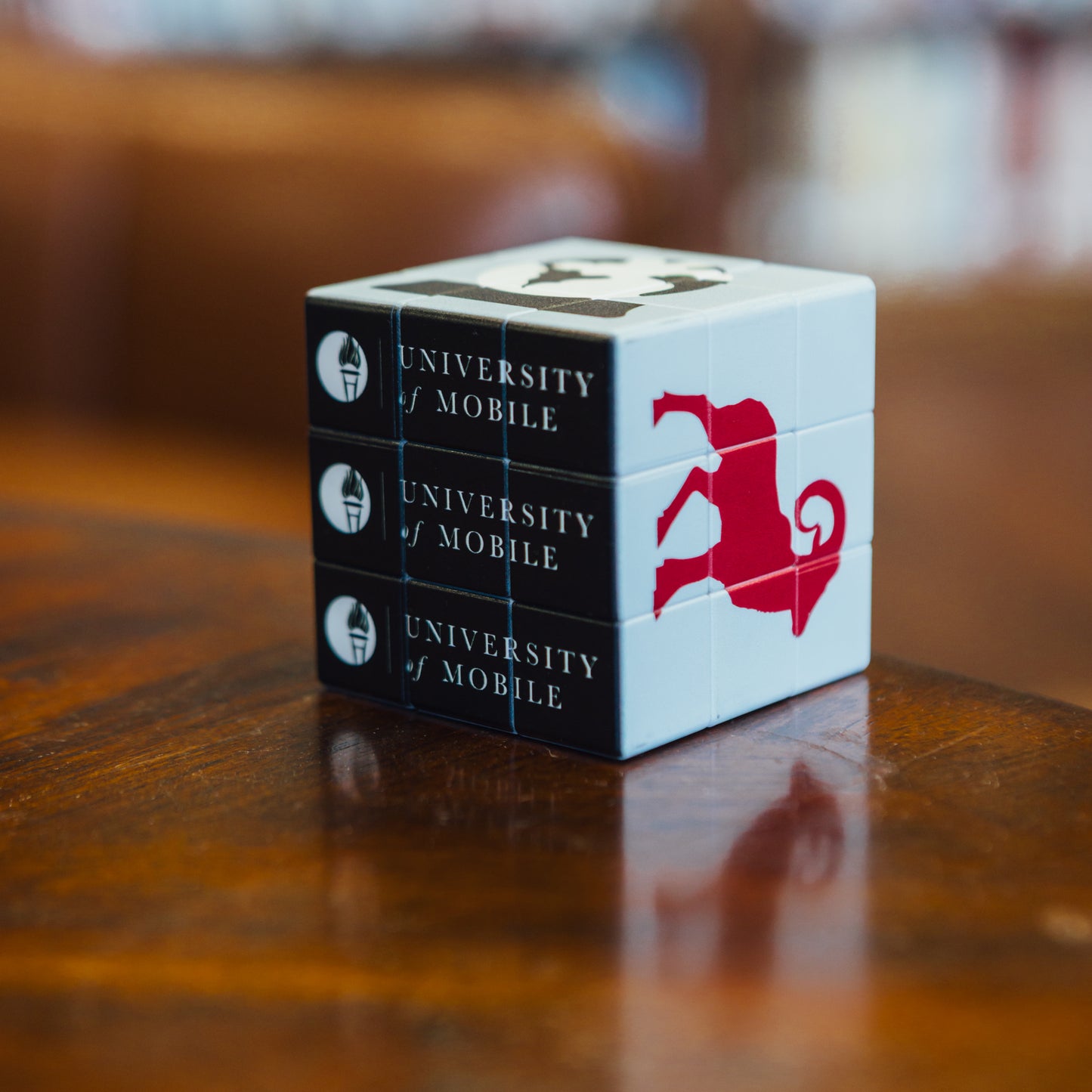 UM Puzzle Cube