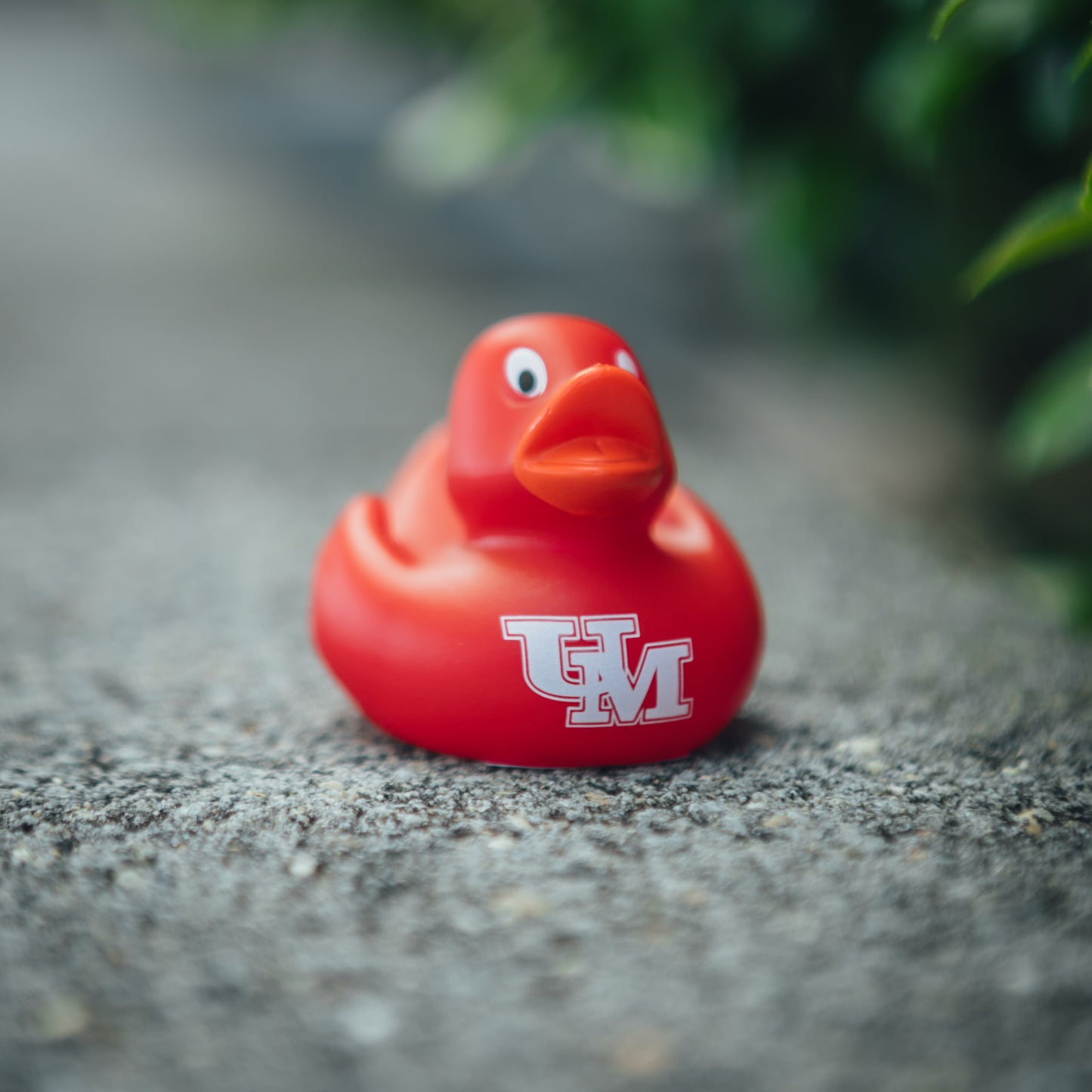 UM Rubber Duck
