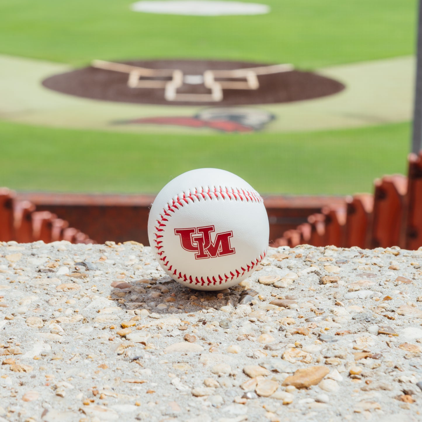 UM Cork Baseball