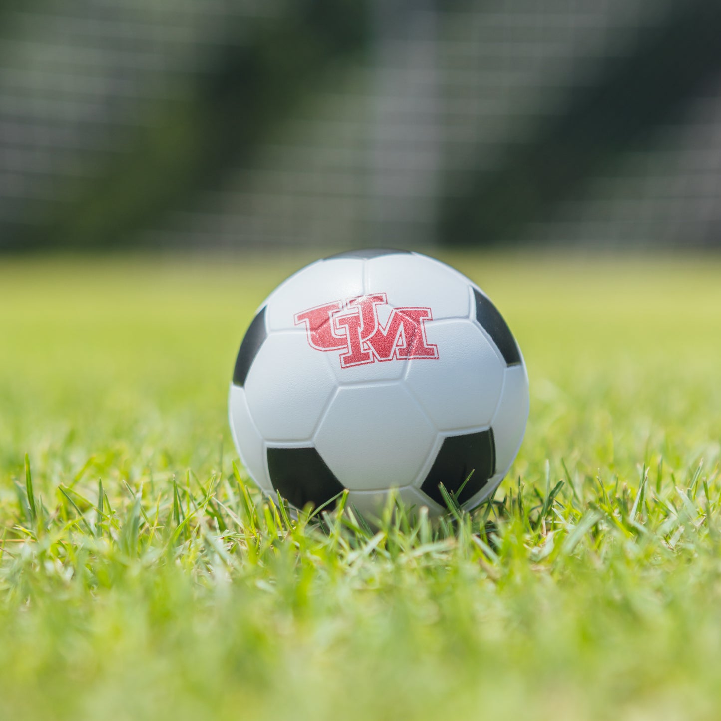 Stress Reliever Balls