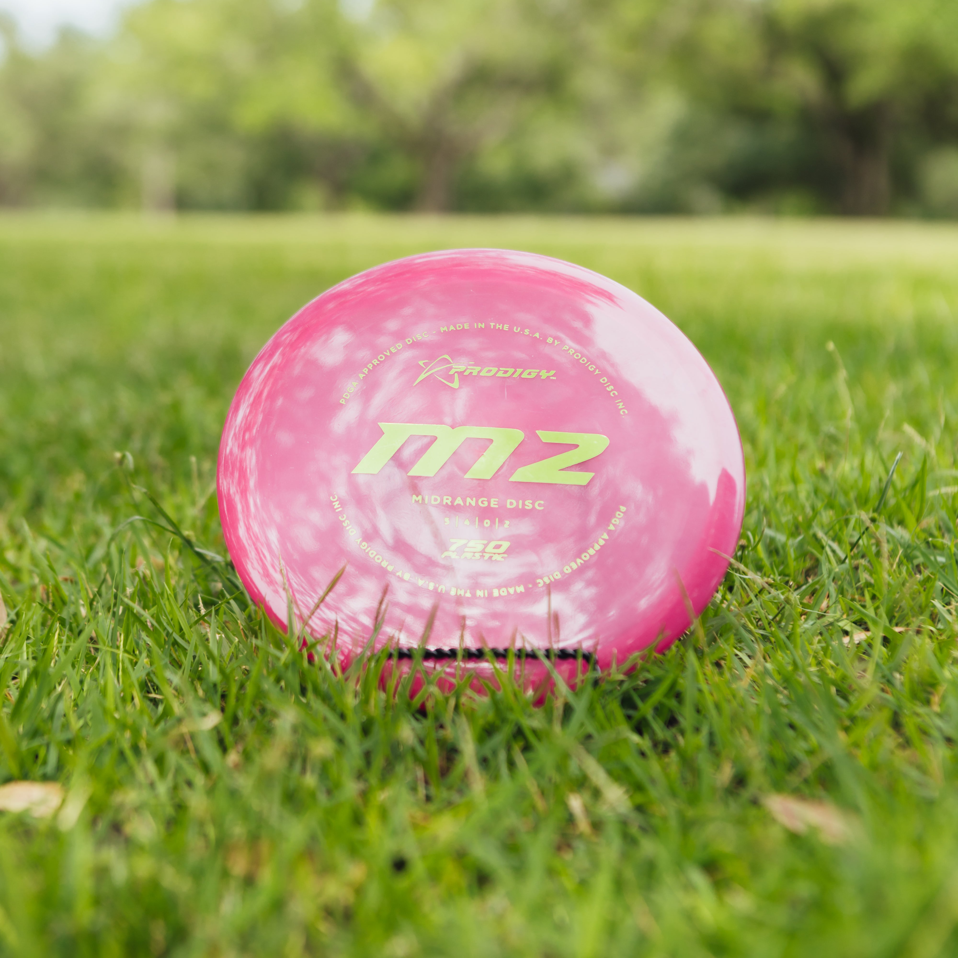 Prodigy Target T2 Prodigy M2 750 – University of Mobile Store