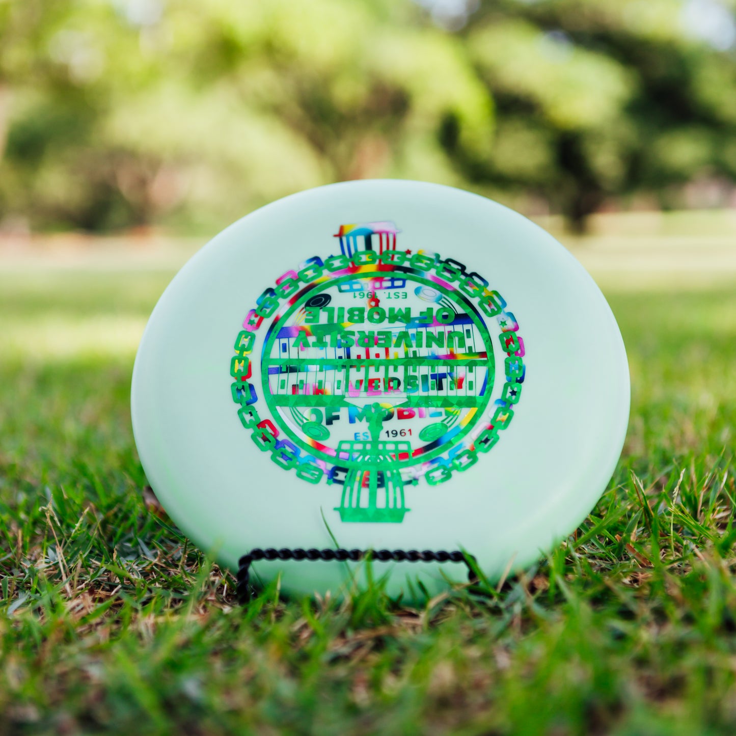 Innova Factory Second DX Aviar