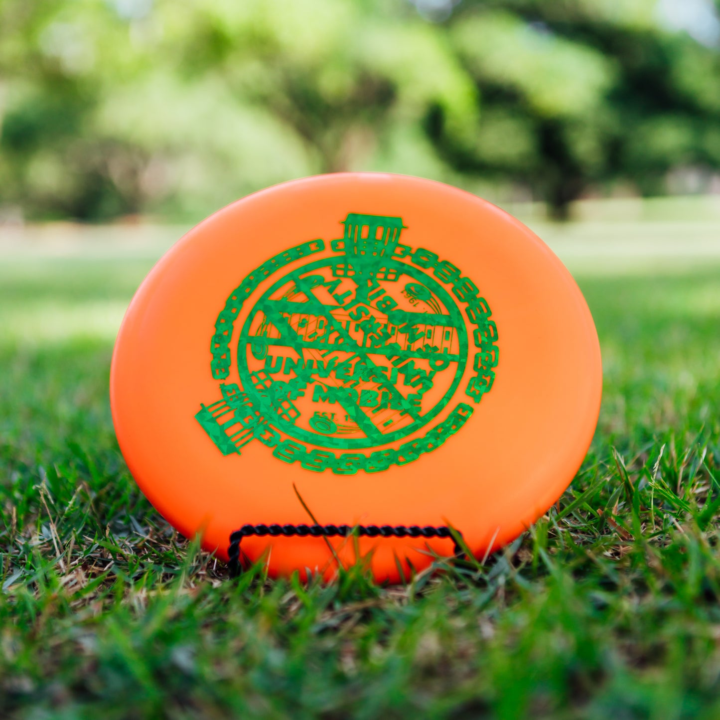 Innova Factory Second DX Aviar