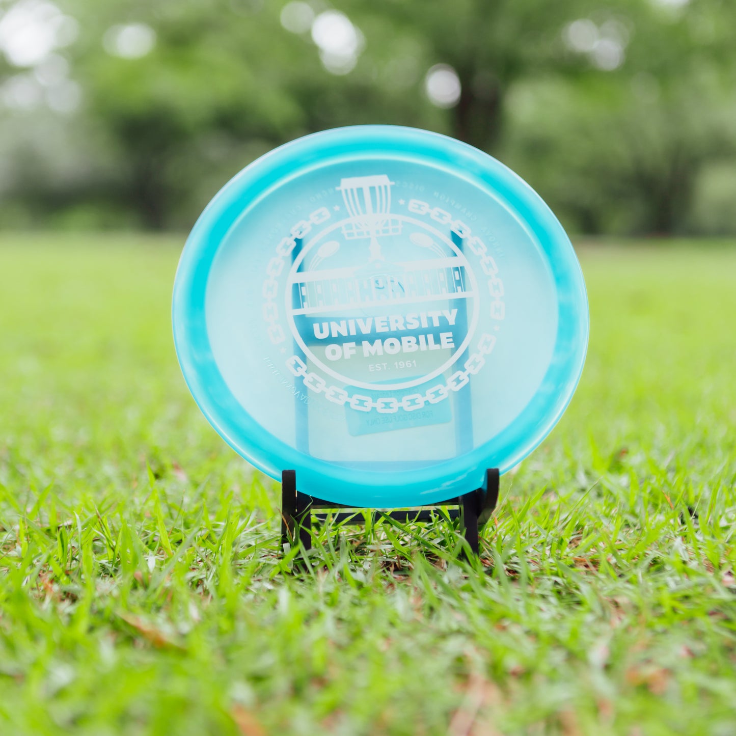 Innova Champion Leopard